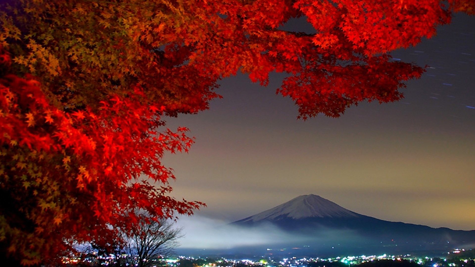 1920x1080 Fuji Tag - Japanese City Japan Tree Fuji Flower Image Gallery for HD 16:9