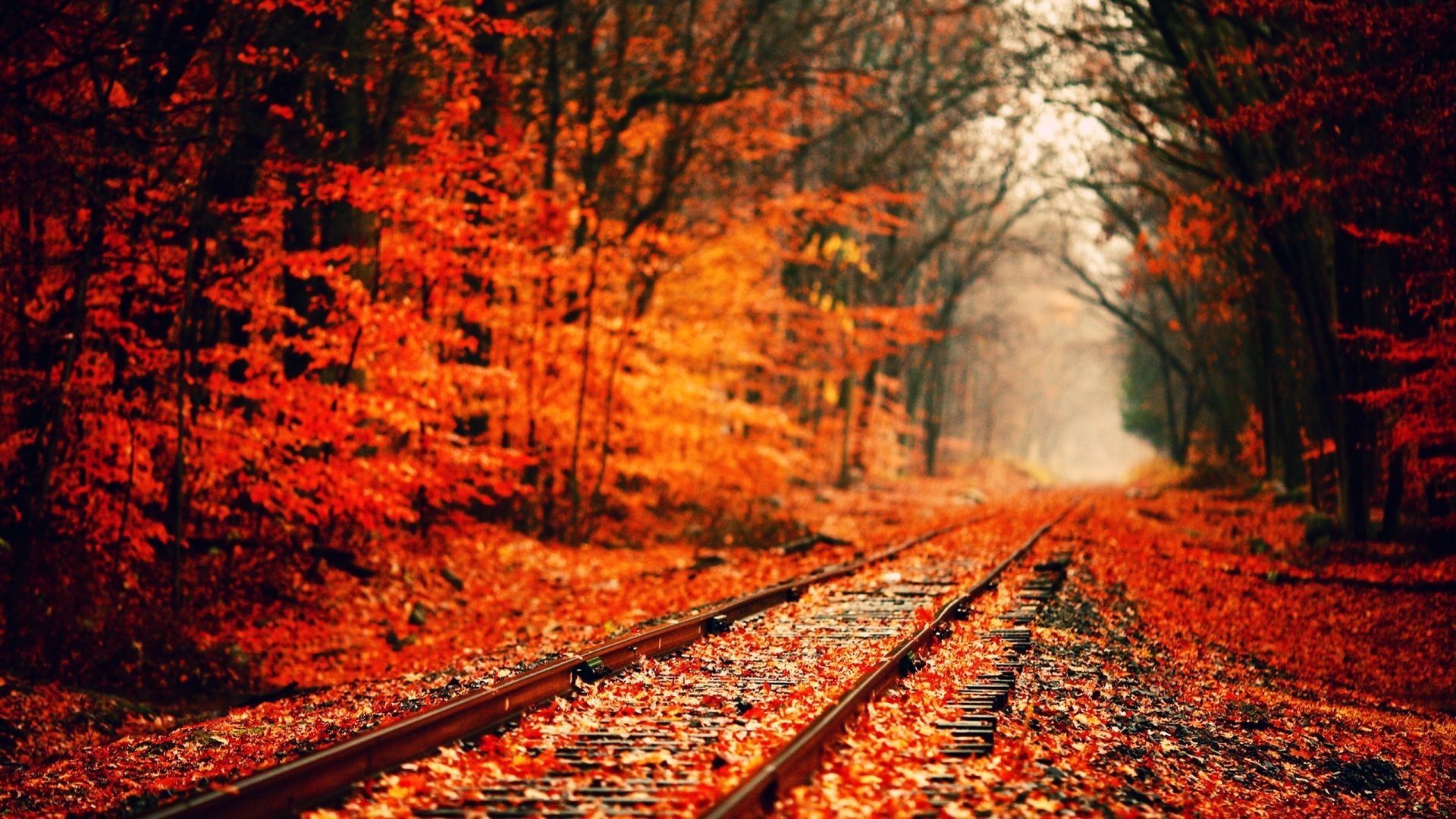 1920x1080 2560x1600 Collection of Autumn Desktop Backgrounds Hd on HDWallpapers