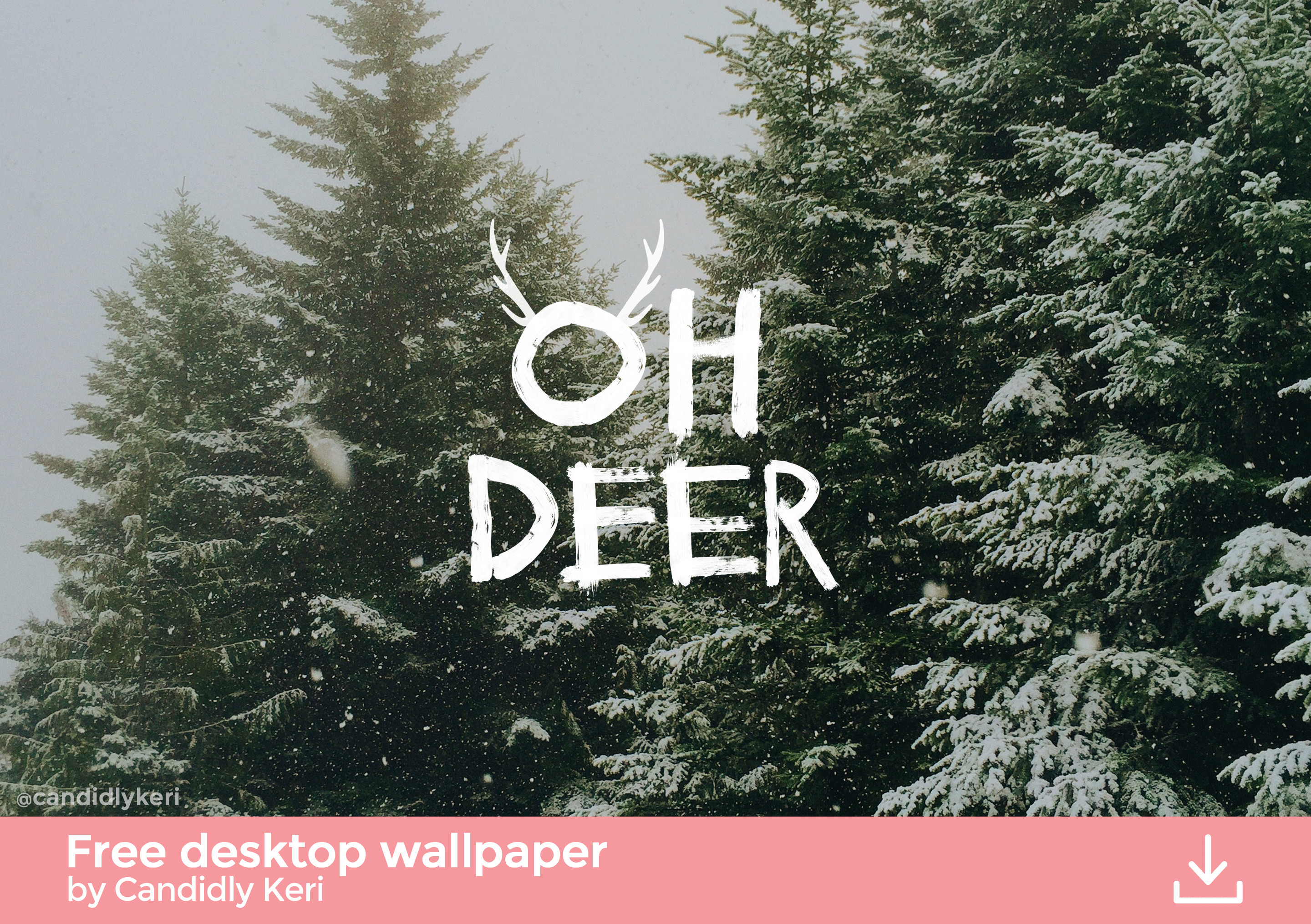 2880x2030 Oh Deer snowy trees Christmas tree cute background wallpaper you can  download for free on the