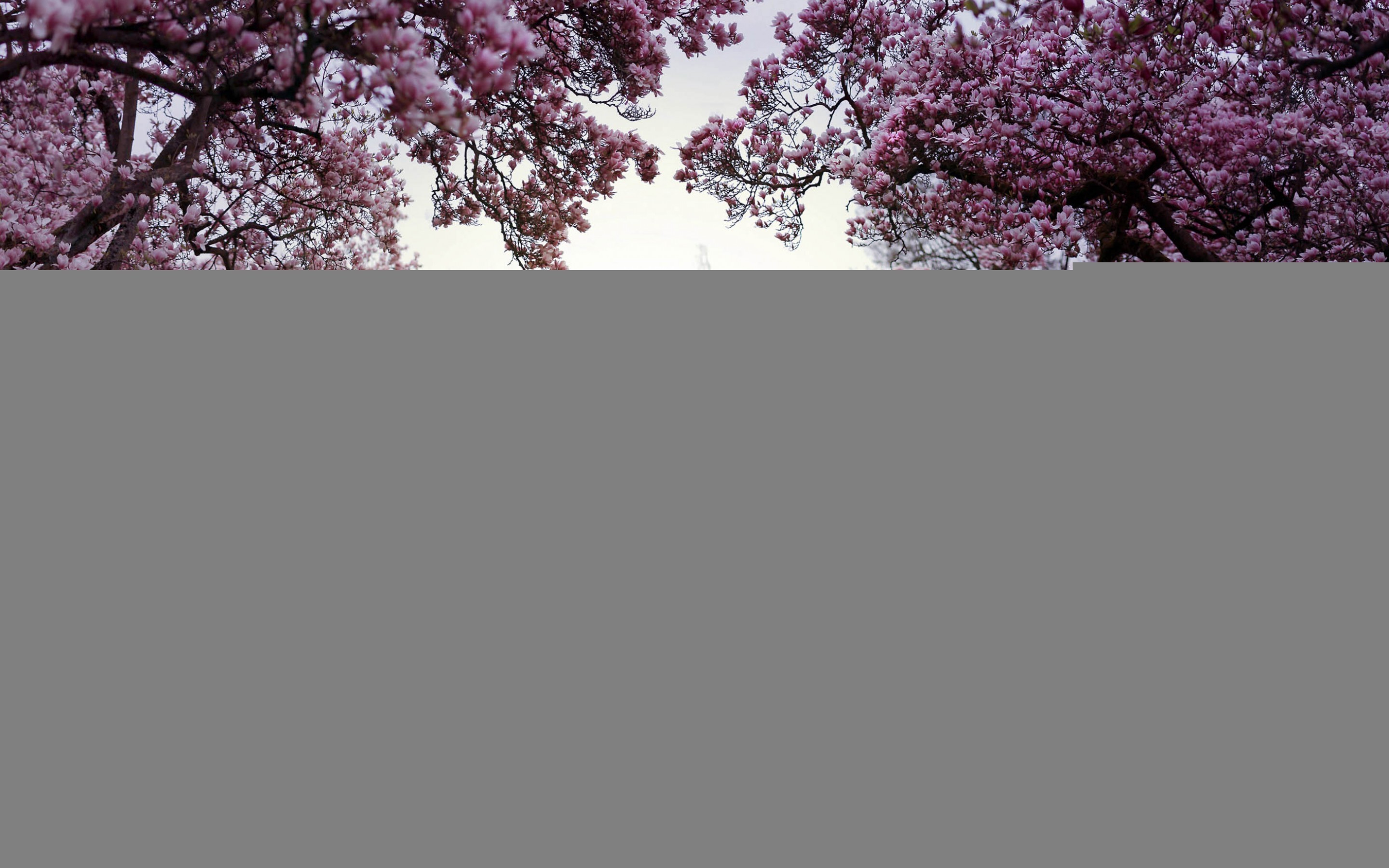 2880x1800 Spring Desktop Backgrounds