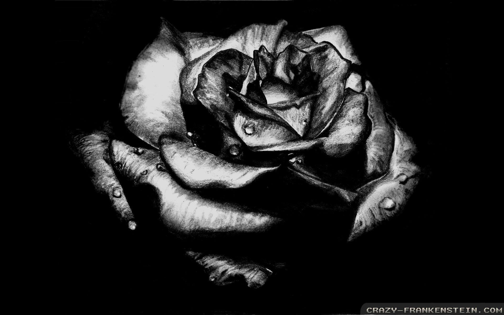 1920x1200 black-rose-gothic-wallpapers- gothic wallpapers HD free .