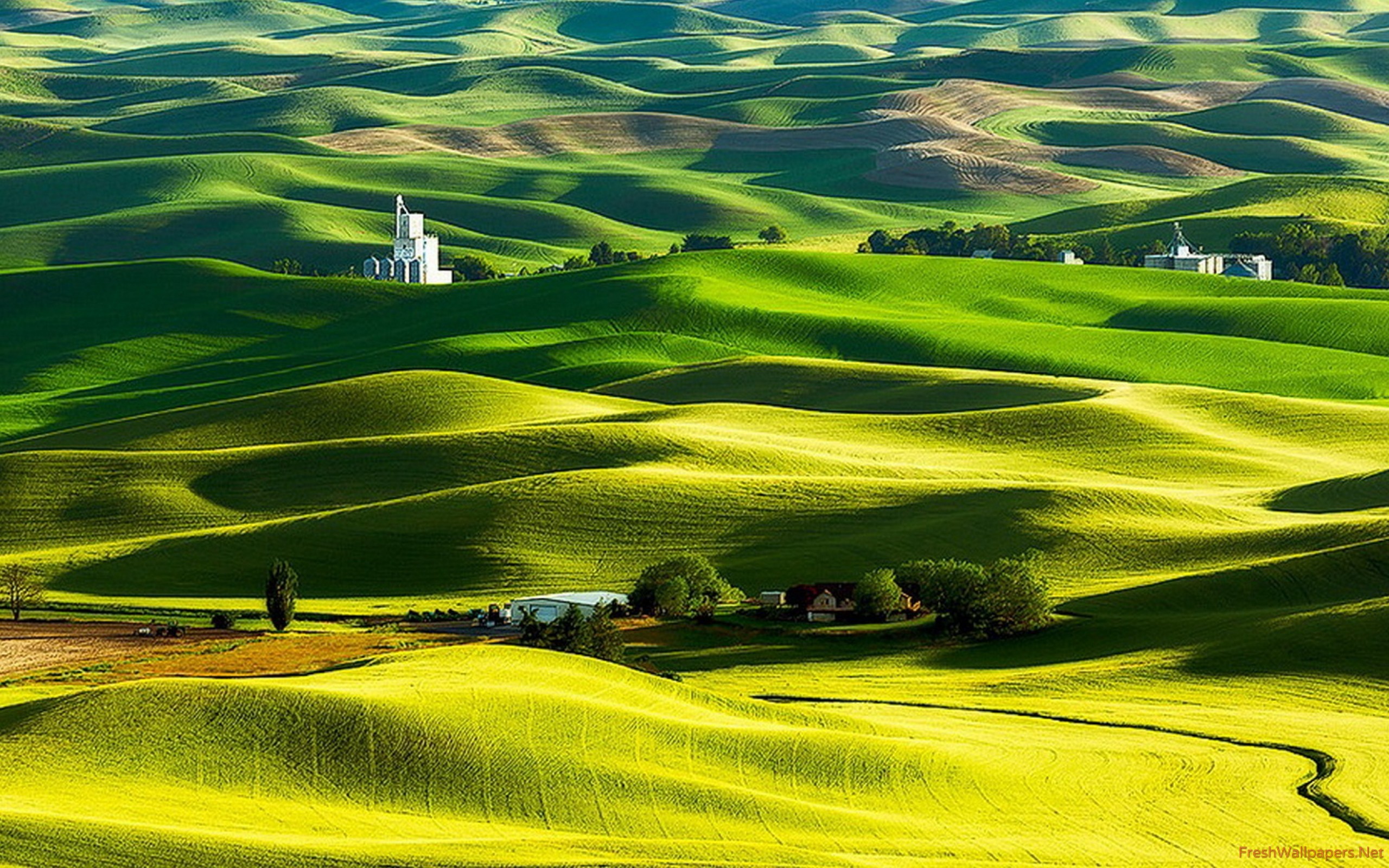 2560x1600 Green Hills Landscape wallpaper