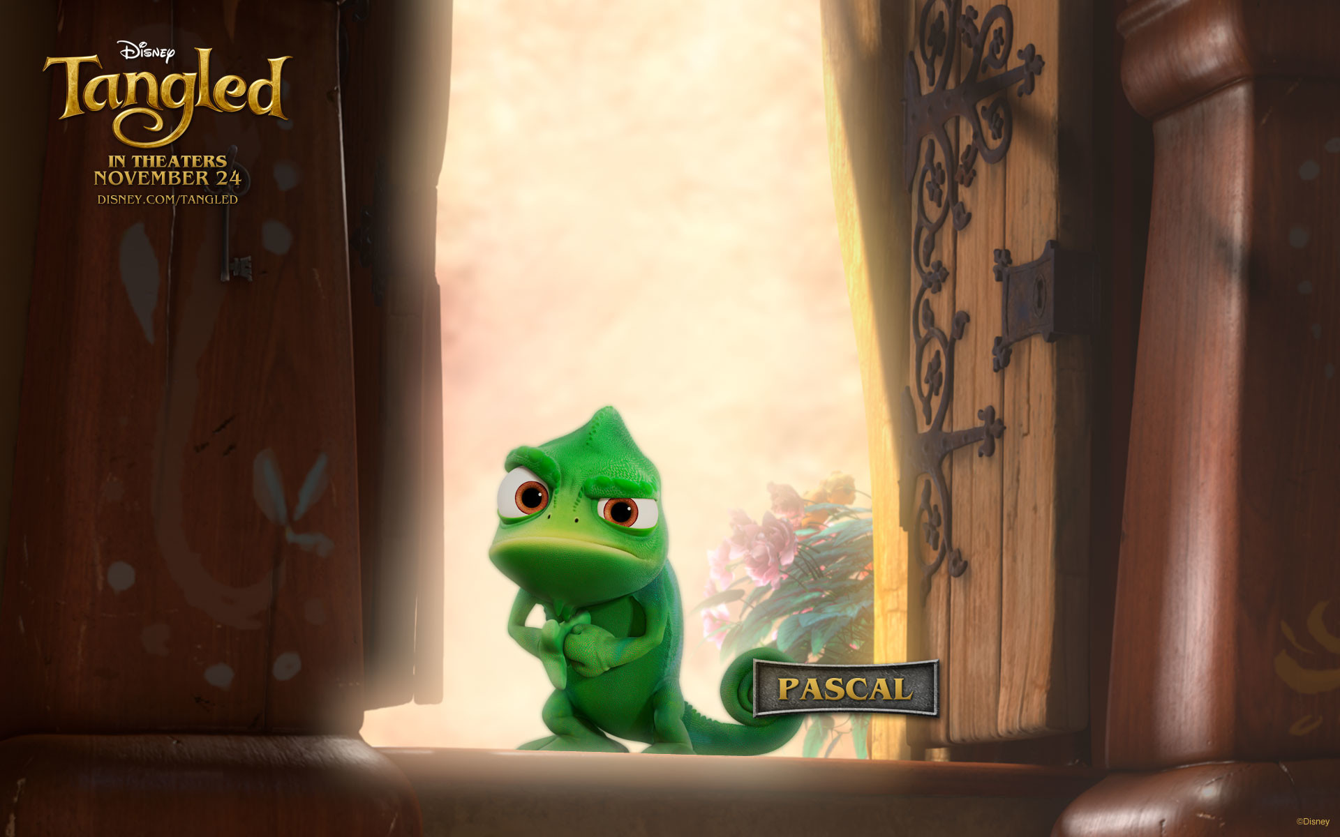 1920x1200 Pascal from Disney's Tangled wallpaper - Click picture for high resolution  HD wallpaper