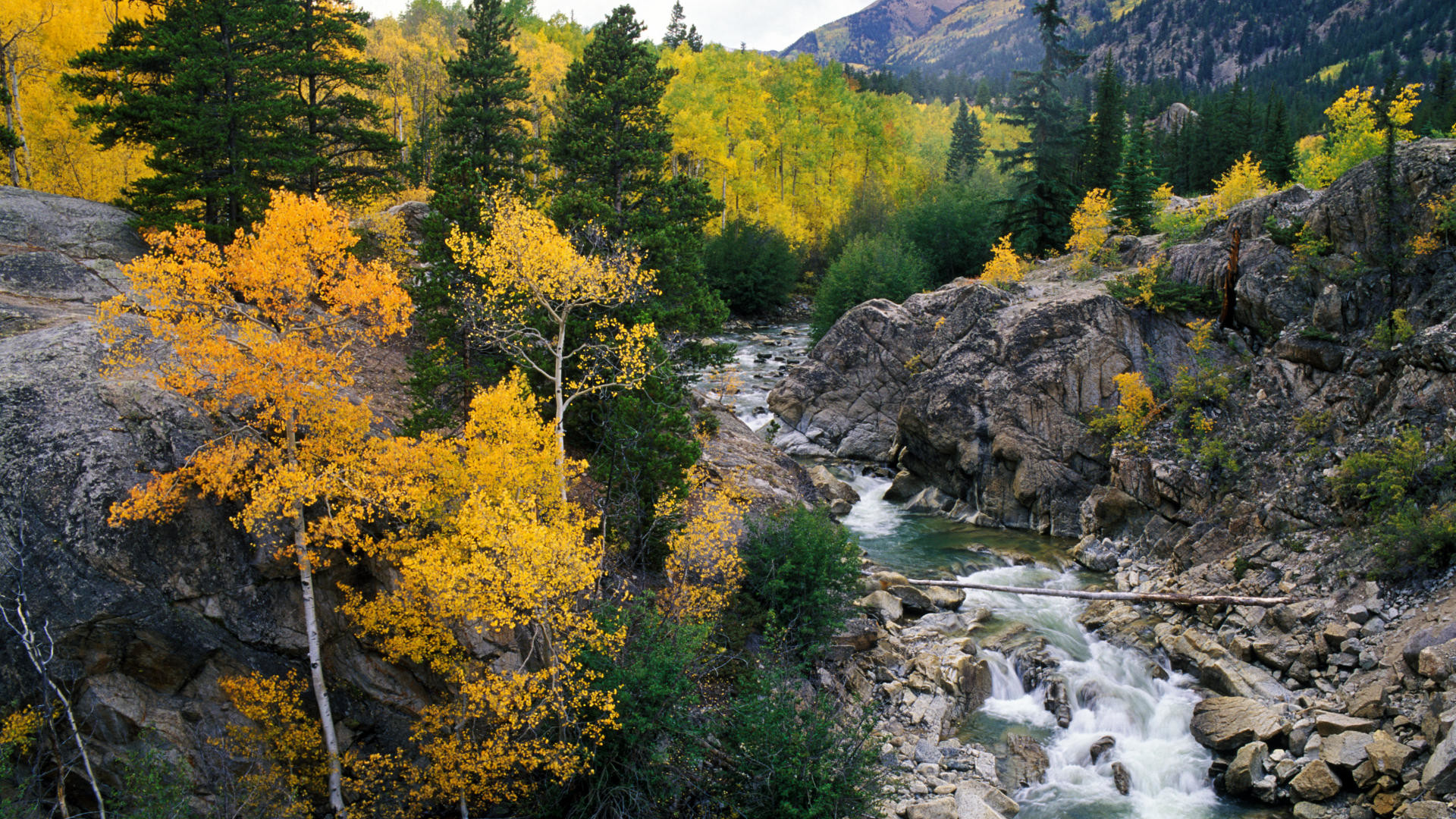 1920x1080 Download Background - Roaring Fork River, White River National Forest,  Colorado - Free Cool Backgrounds and Wallpapers for your Desktop Or Laptop.