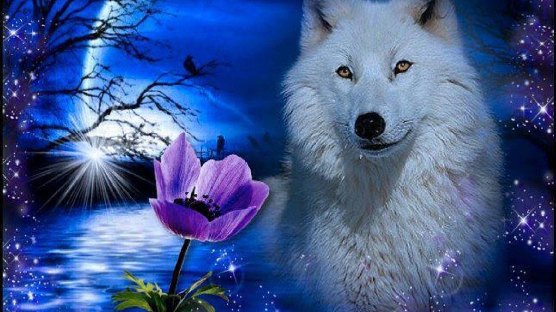 Wolf Wallpapers 3d  Wallpaper Cave