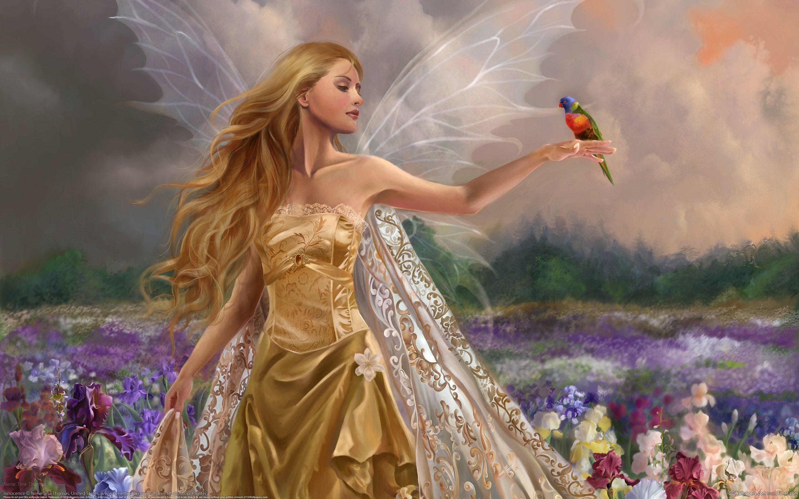 2560x1600 Beautiful Fairy - LOVE ANGELS Wallpaper (27525265) - Fanpop
