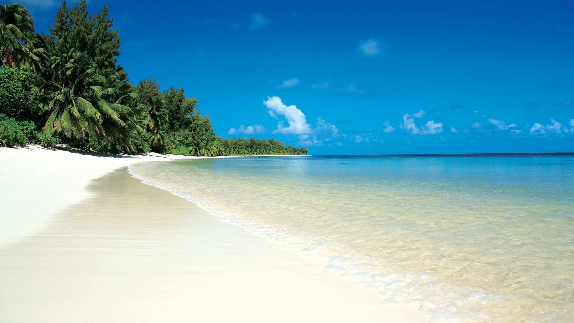 1920x1080 Preview wallpaper beach, tropics, sand, white, palm trees, relax 