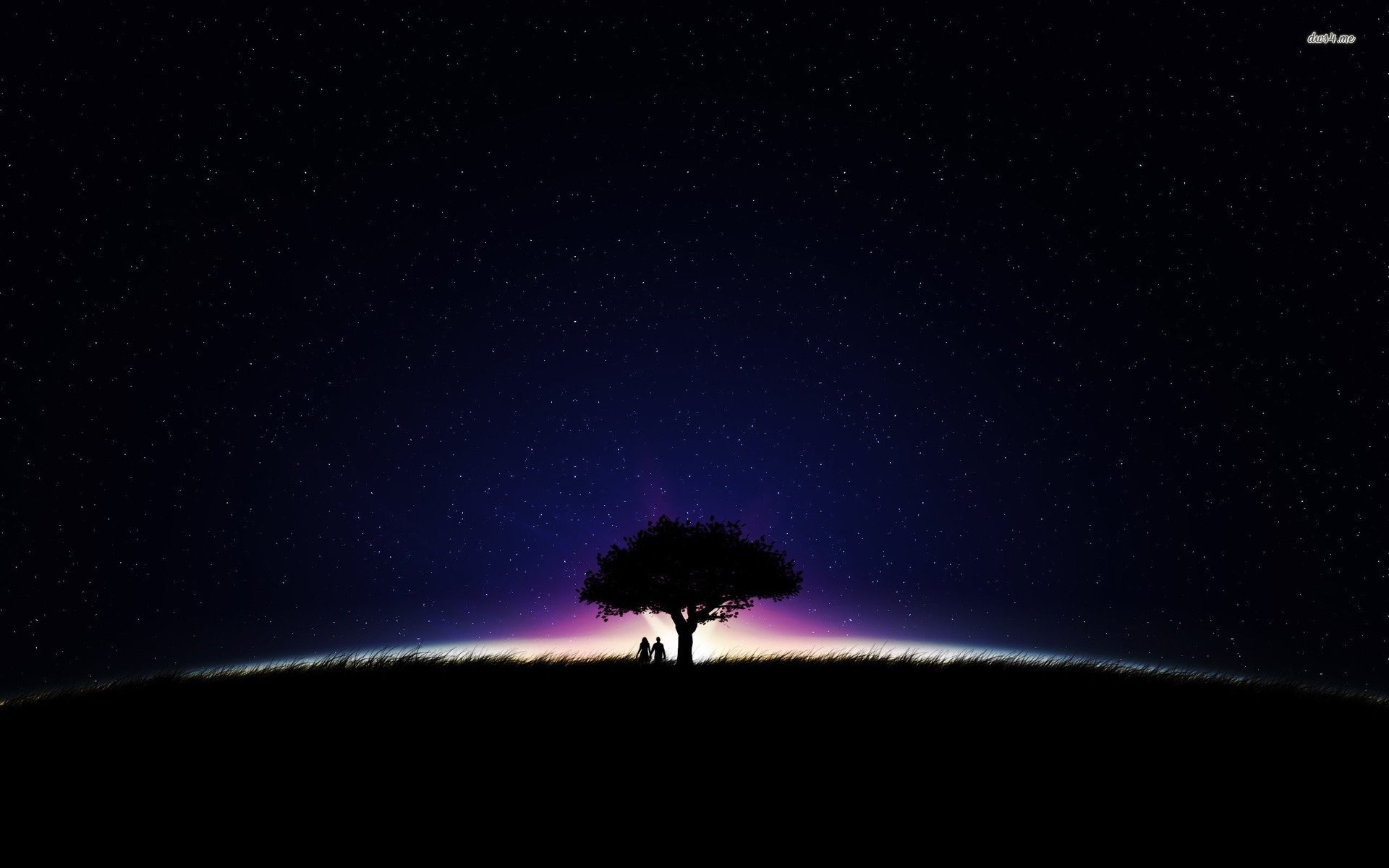 1920x1200 tree wallpaper night sky
