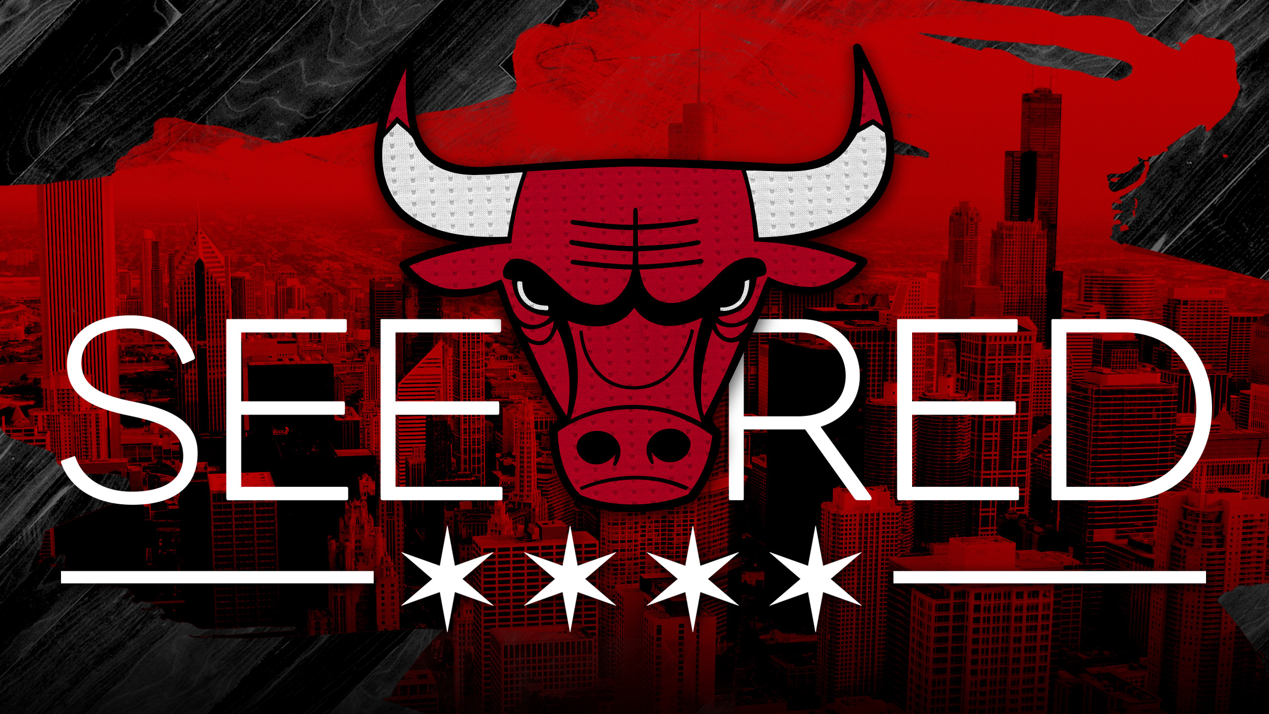 2560x1440 Chicago Bulls Logo Background HD.