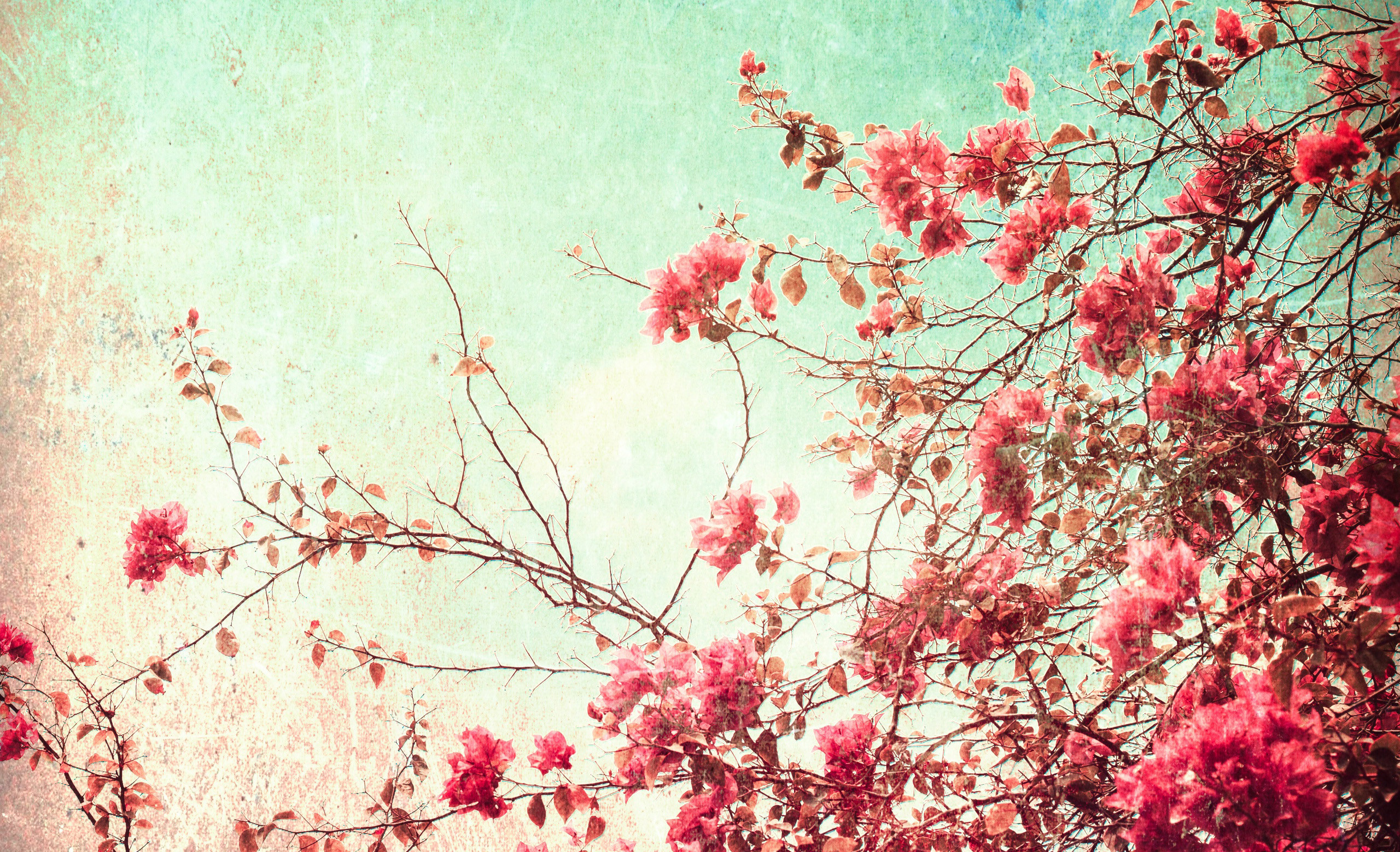 2560x1558 ... Vintage Floral Desktop Wallpaper