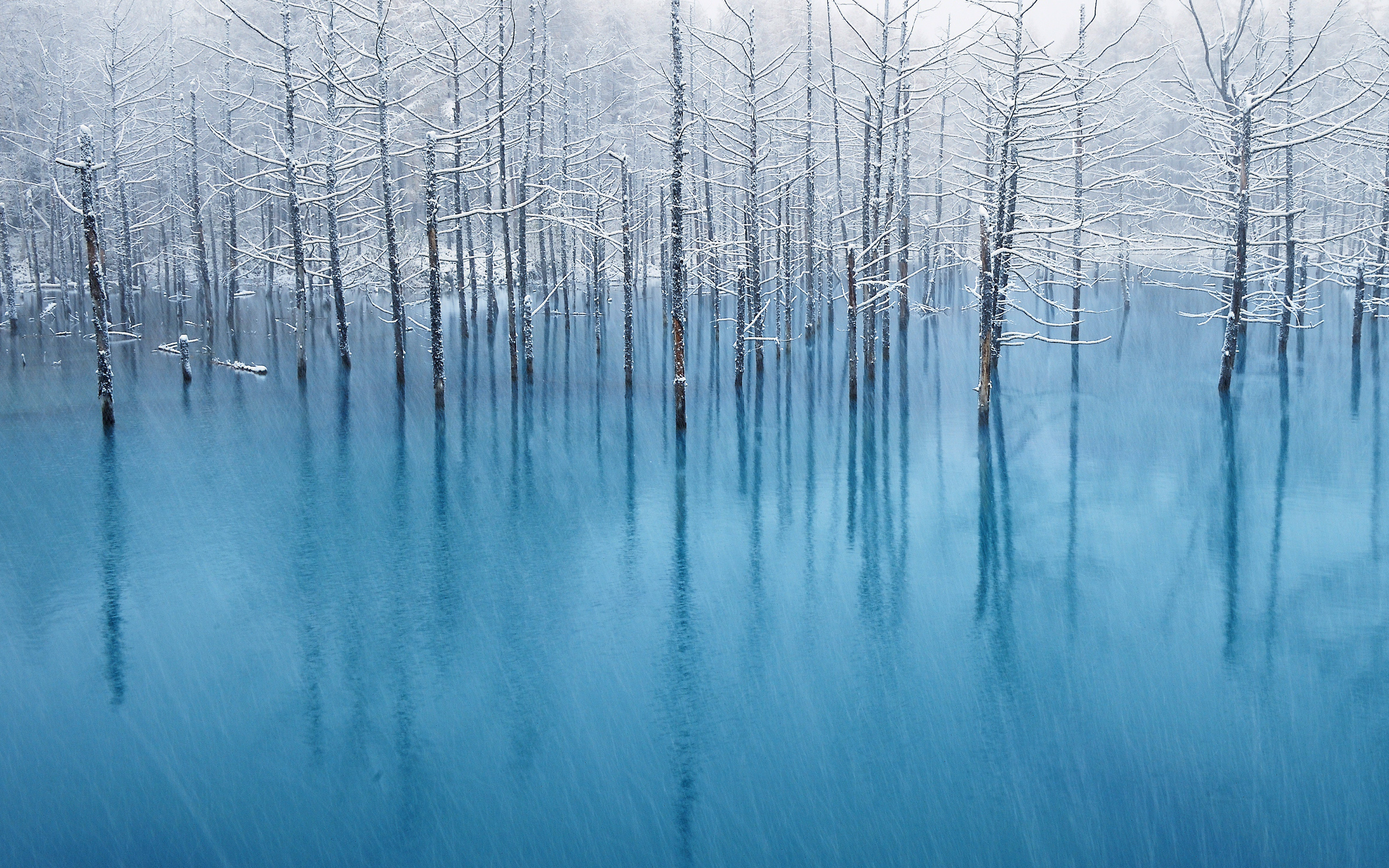 3200x2000 Snowy Trees Winter Lake Wallpaper