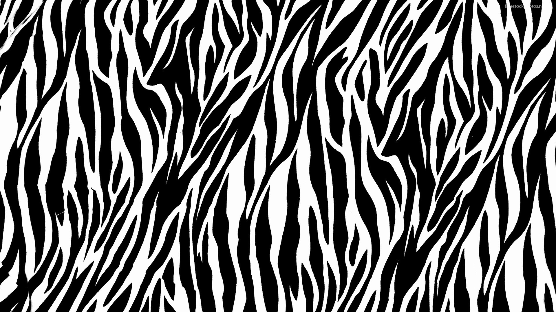 1920x1080 Animal Print Backgrounds Animal Print Jungle Leopard #5622