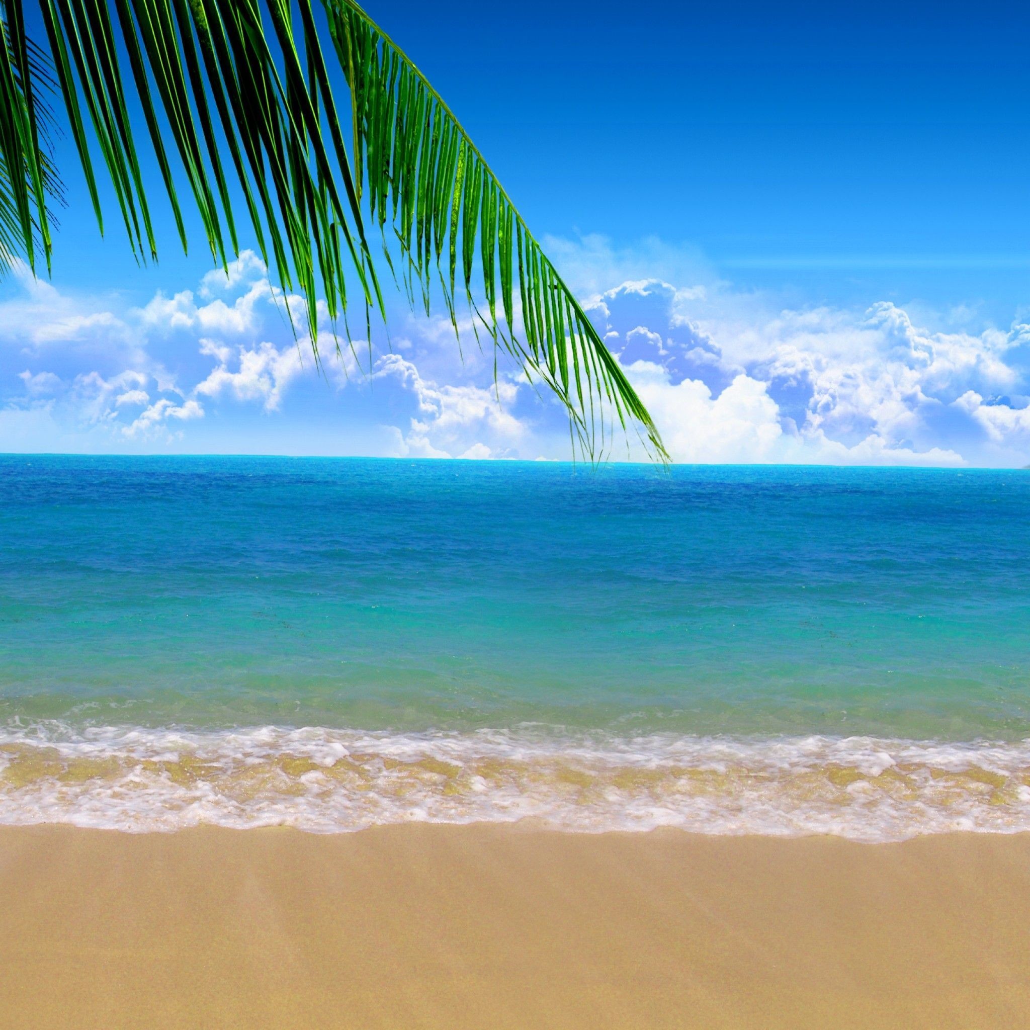 2048x2048 IWallpapers Summer Beach IPad Wallpapers And Backgrounds | IPad .