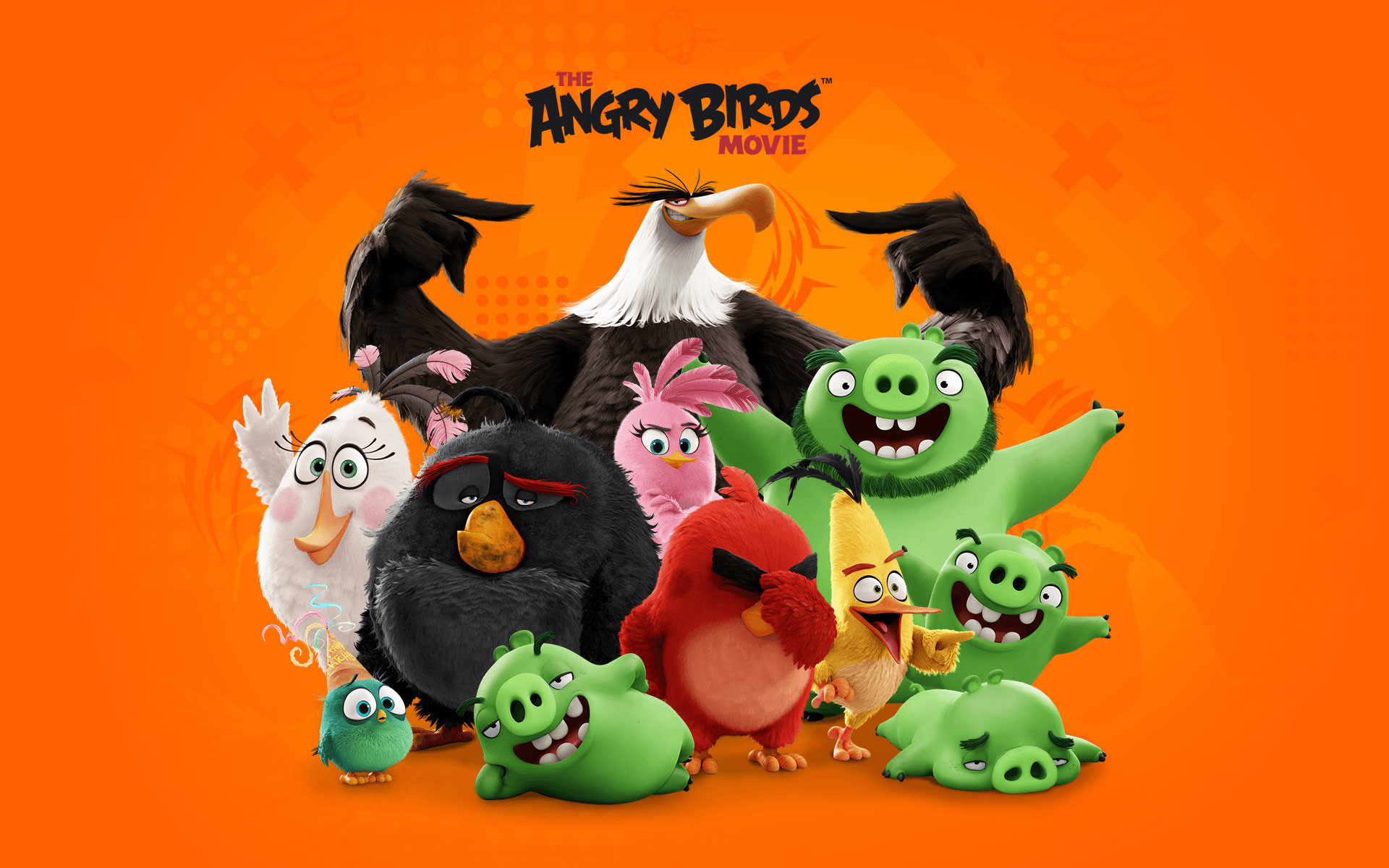 1920x1200 The Angry Birds Movie 2016 Cast Wallpaper HD 1920 x 1200