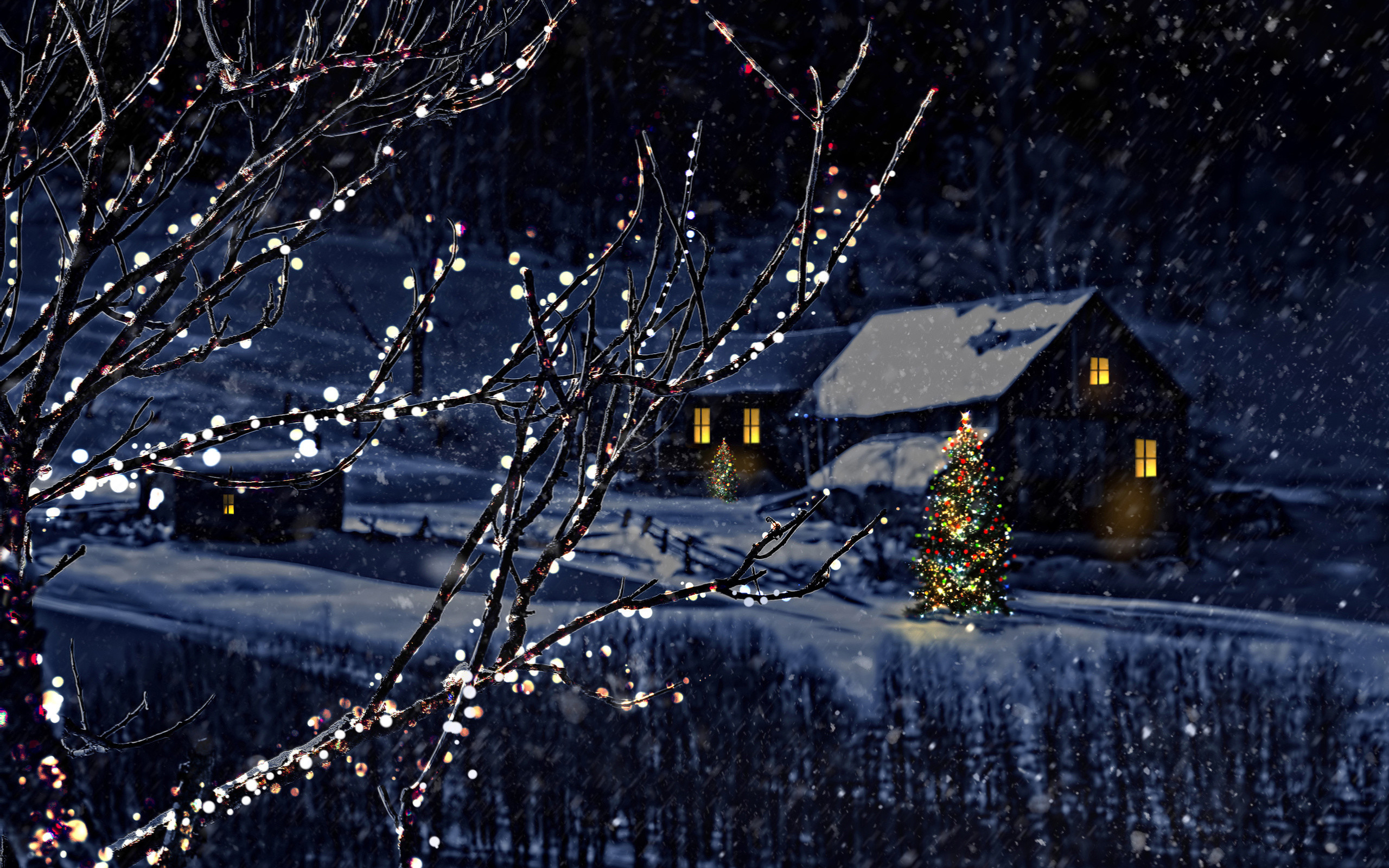 2560x1600 Night christmas tree new year winter bokeh wallpaper |  | 176640 |  WallpaperUP