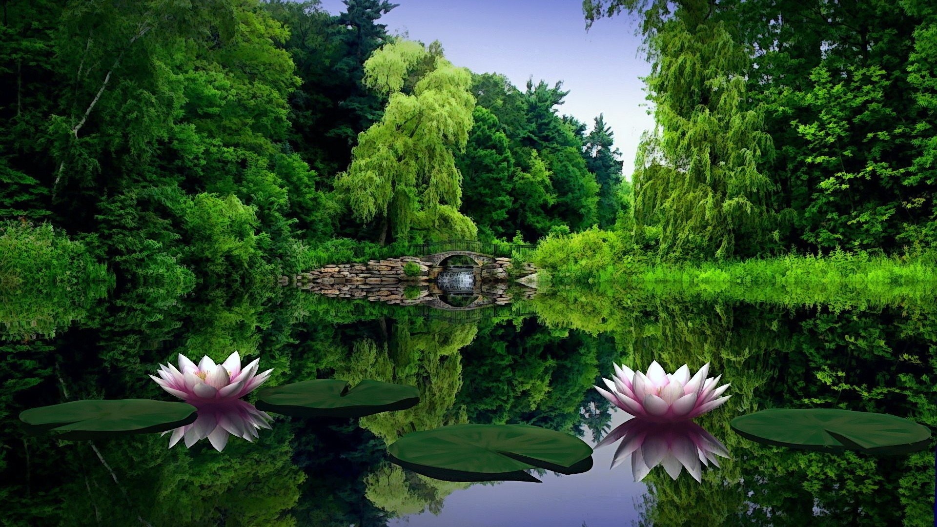 1920x1080  Wallpaper water lilies, water, leaves, pond, bridge, trees, beauty