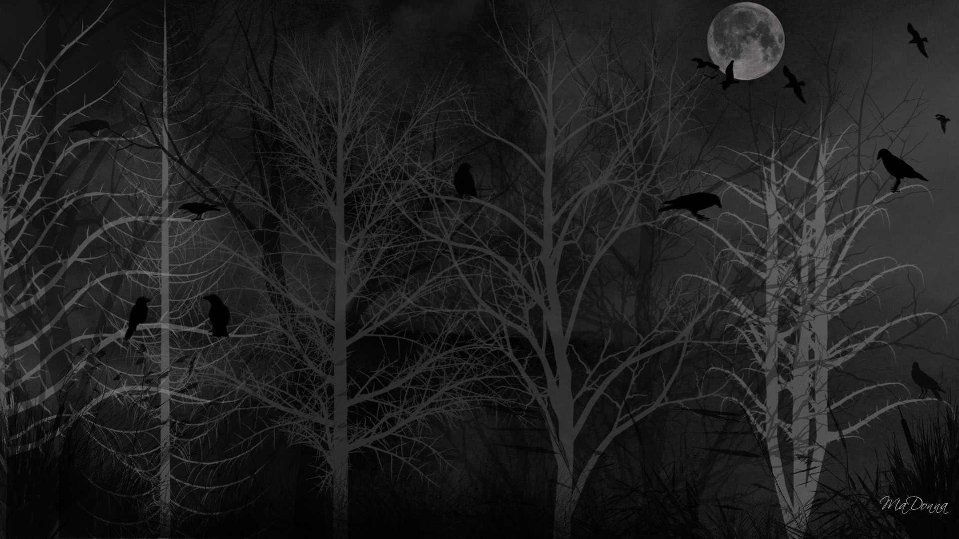 1920x1080 Dreads Winter Firefox Persona Birds Halloween Dark Forest Spooky Moon Crows Black  Wallpaper Images - 