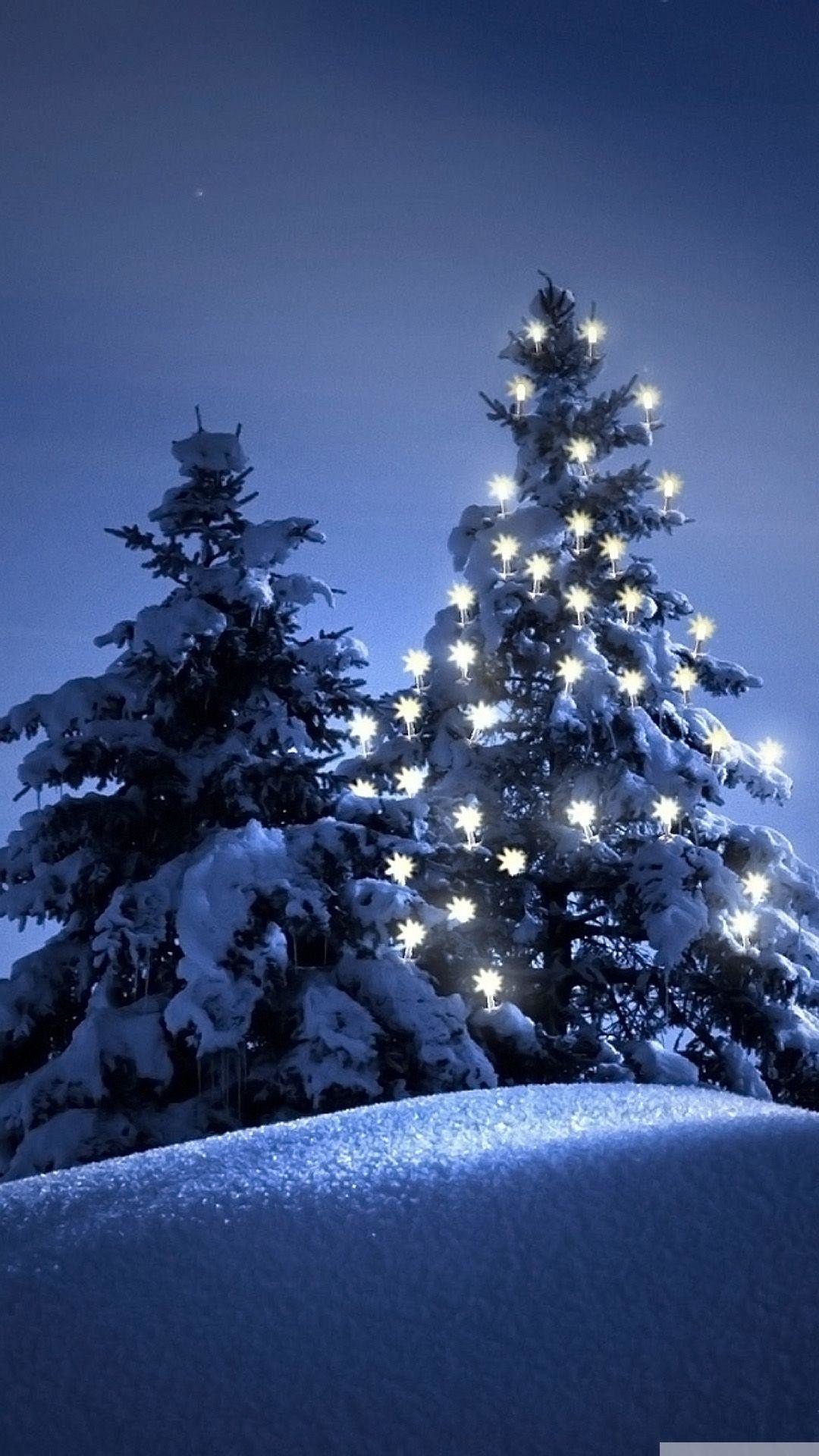 1080x1920  Snow-christmas-tree-winter-iPhone-6-wallpaper