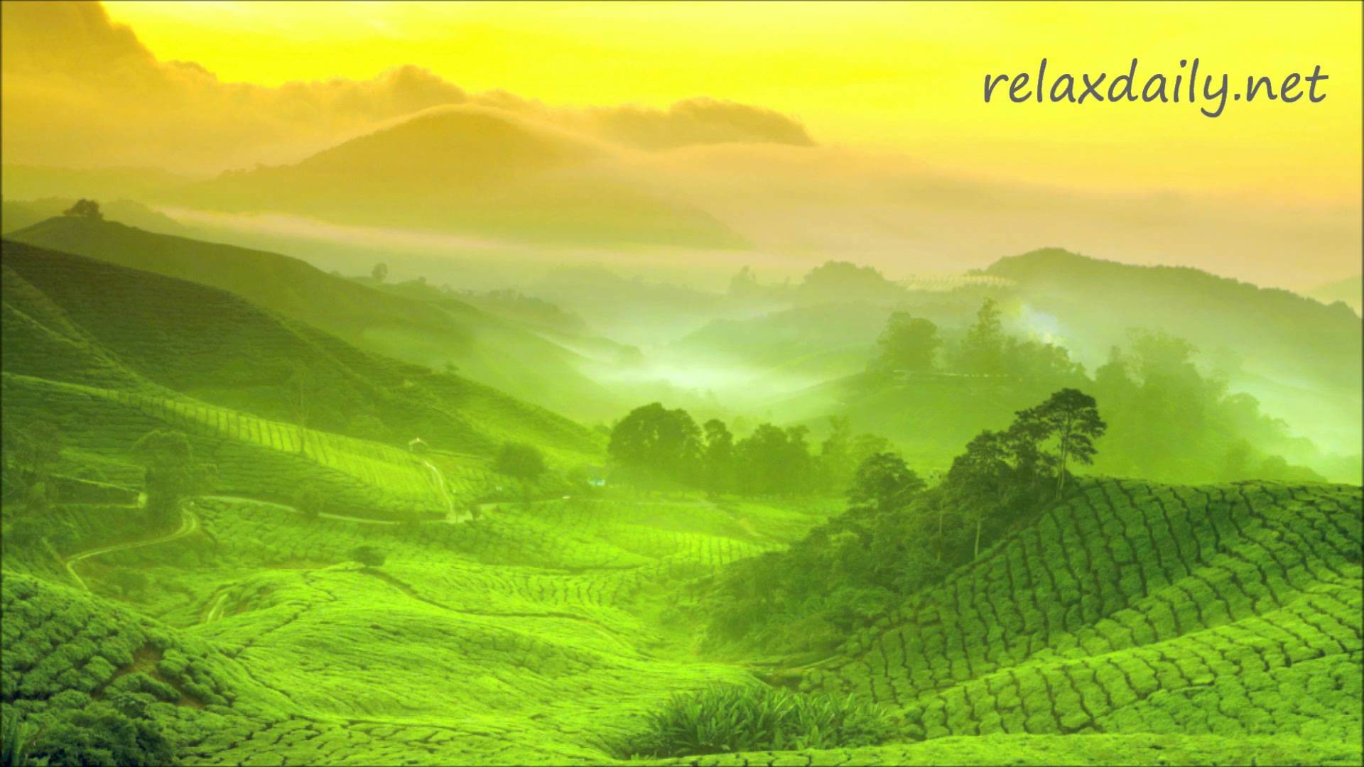 1920x1080 Background Music Instrumental - calm, relaxing, soothing - relaxdaily NÂ°046  - YouTube