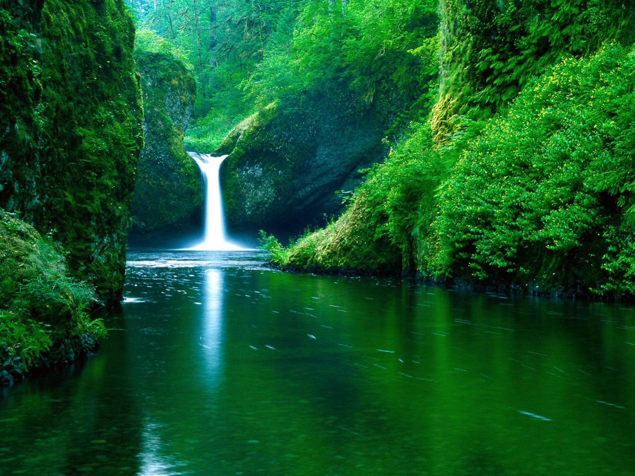 2560x1920 Earth - Waterfall Forest Water Green Earth Wallpaper