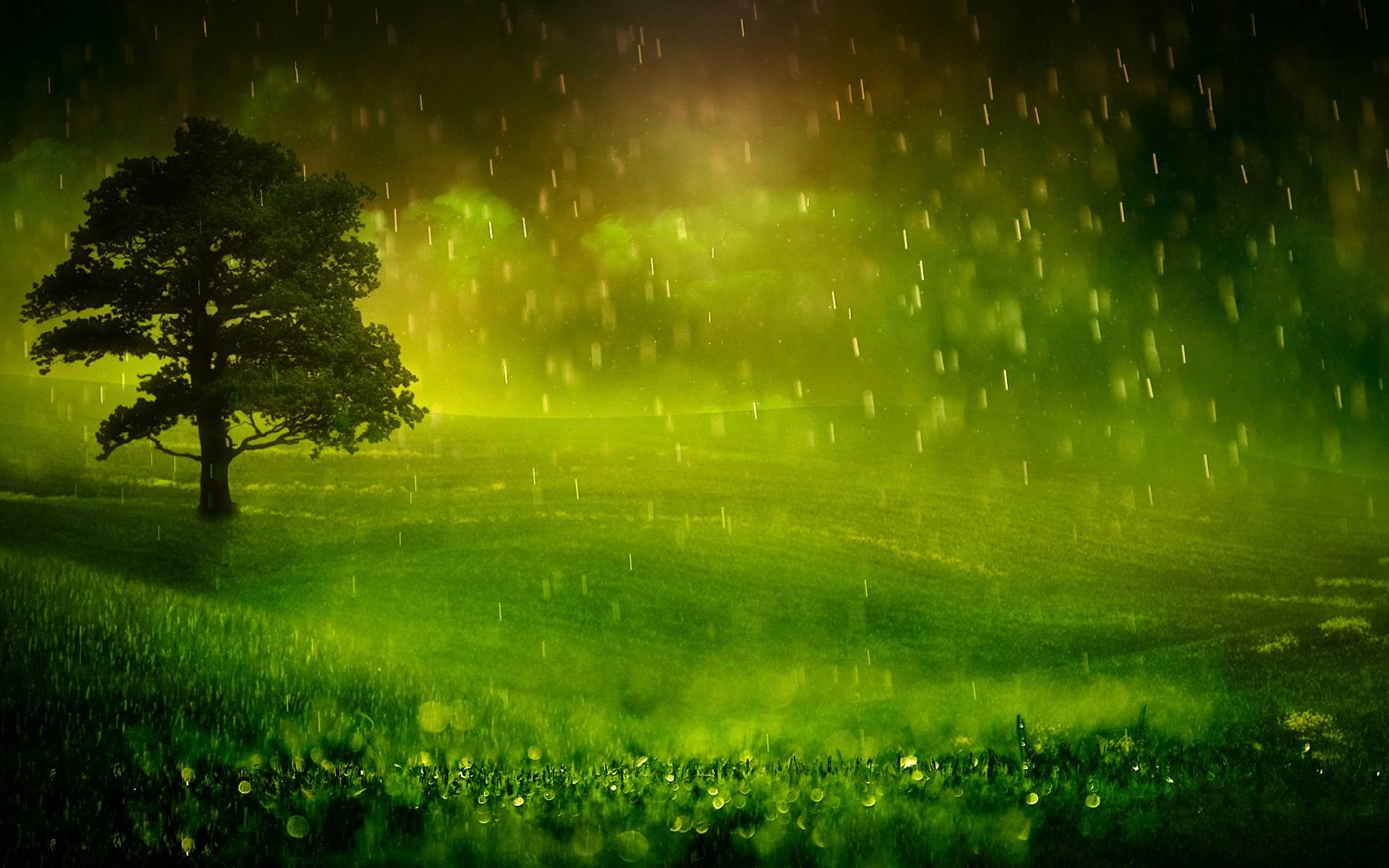 1920x1200 Wallpapers For > Nature Raining Wallpaper With Quotes