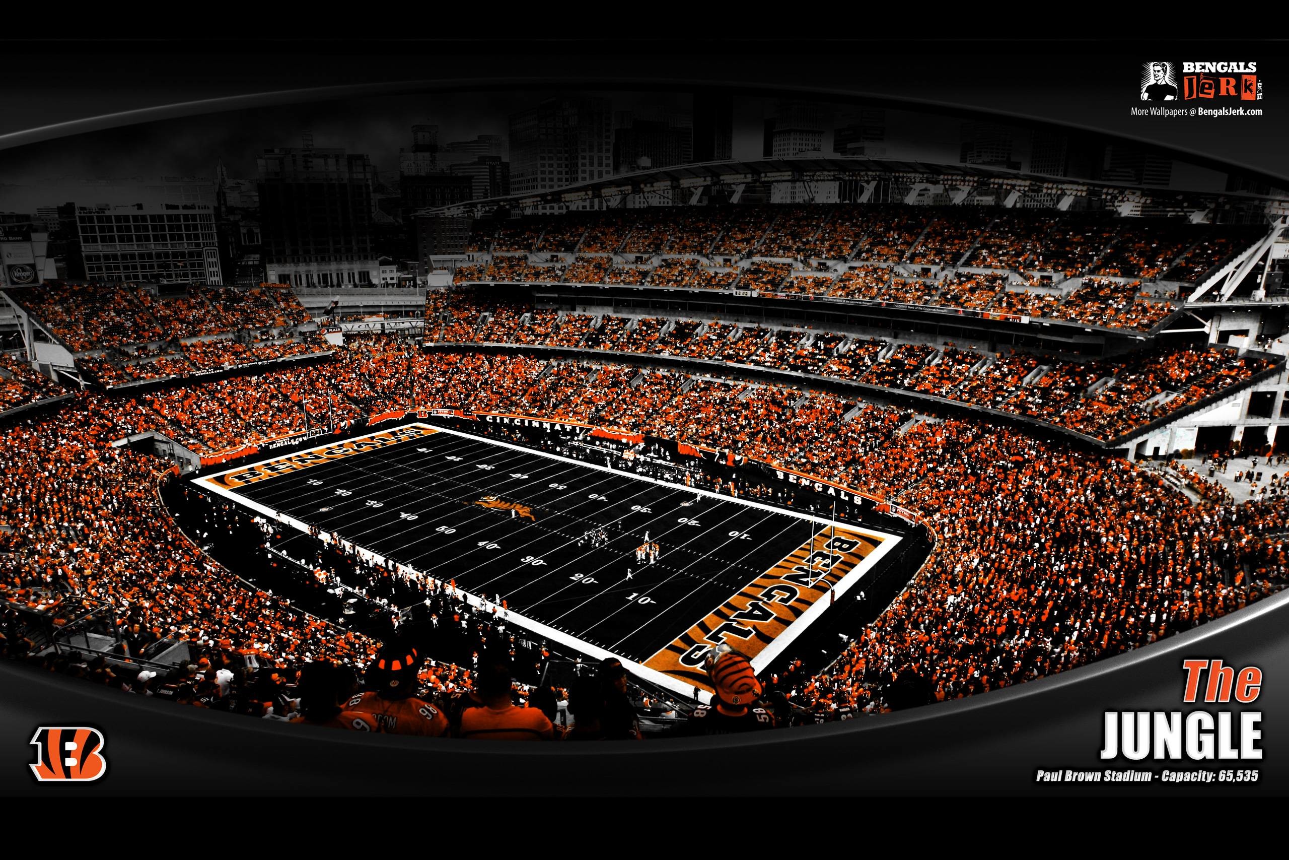 Bengals Wallpaper 75 images