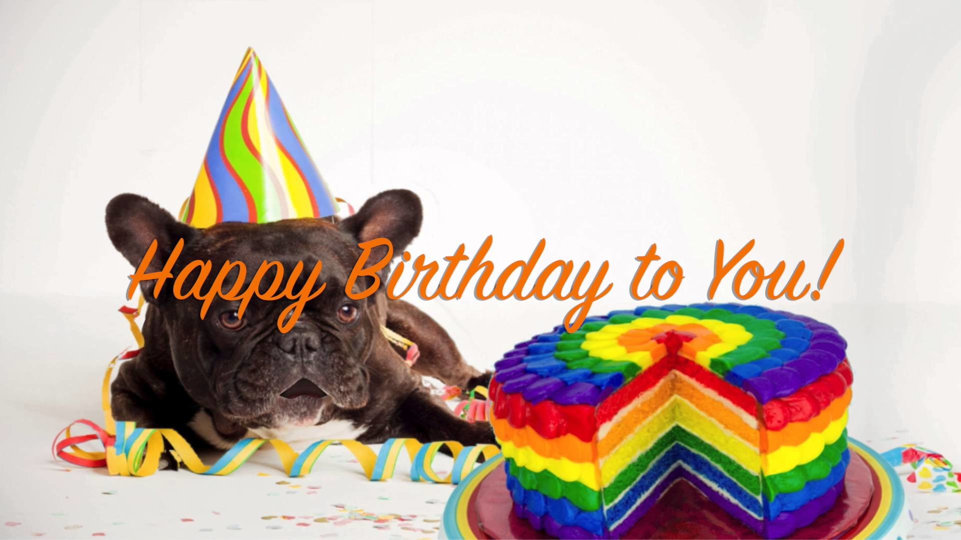 1920x1080 Tony Dog - Happy Birthday To You :: Animal Singing Funny Videos :: - YouTube
