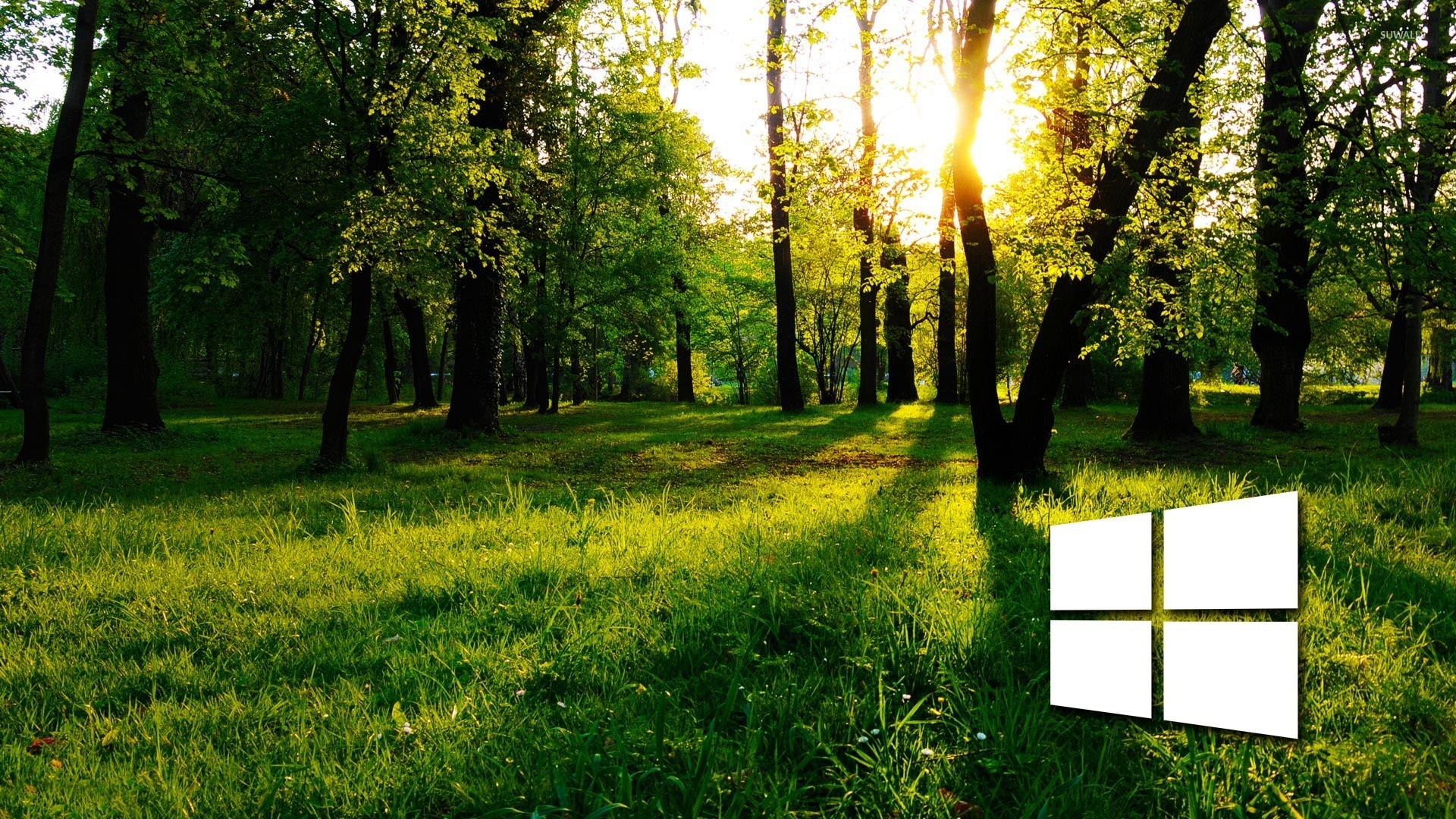1920x1080 Windows 10 in the green forest simple logo wallpaper