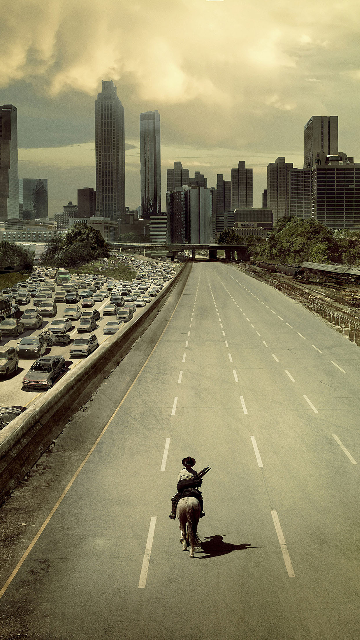1242x2208 The Walking Dead Wallpaper For Android