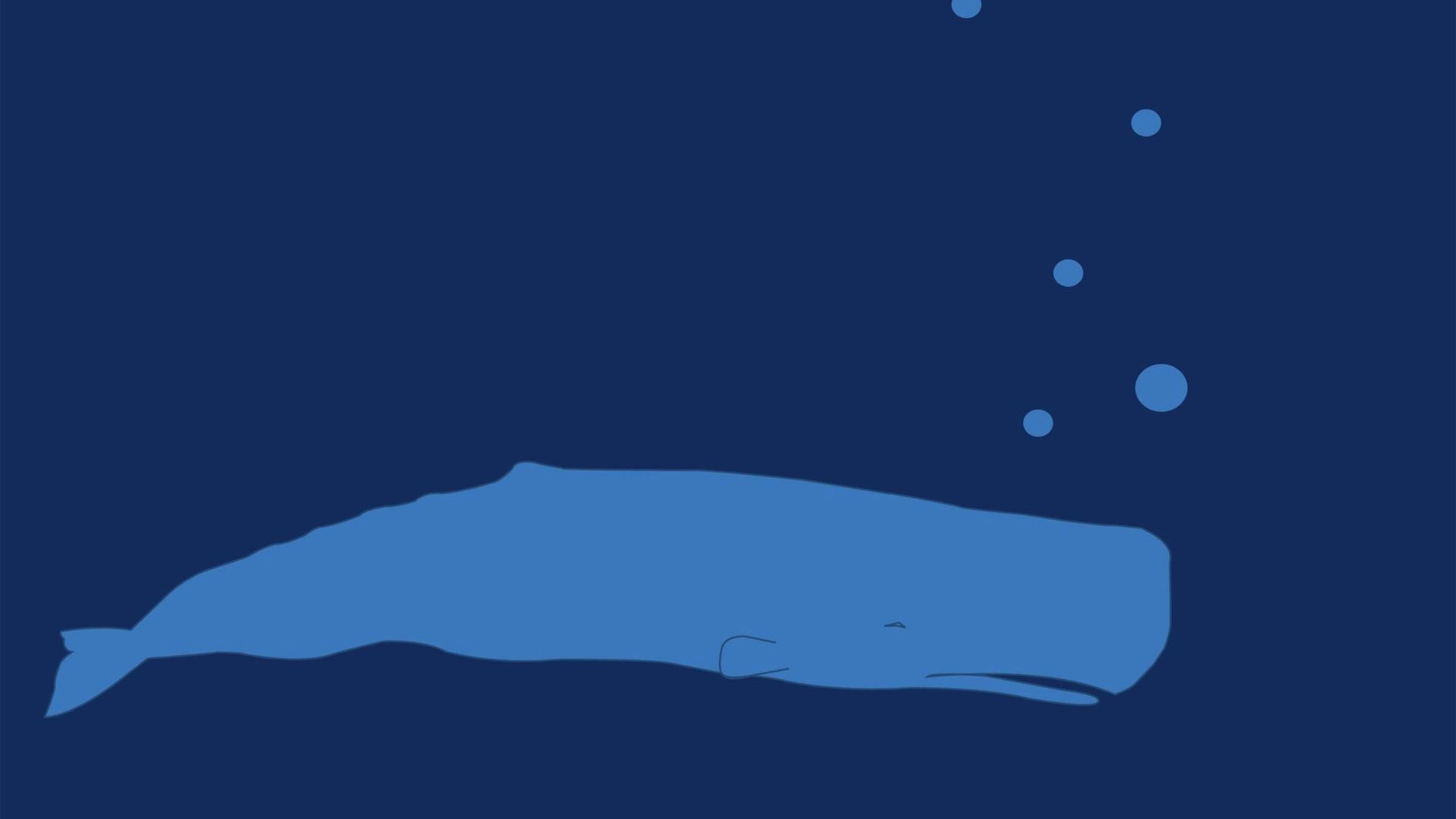 HD blue whale illustration wallpapers  Peakpx