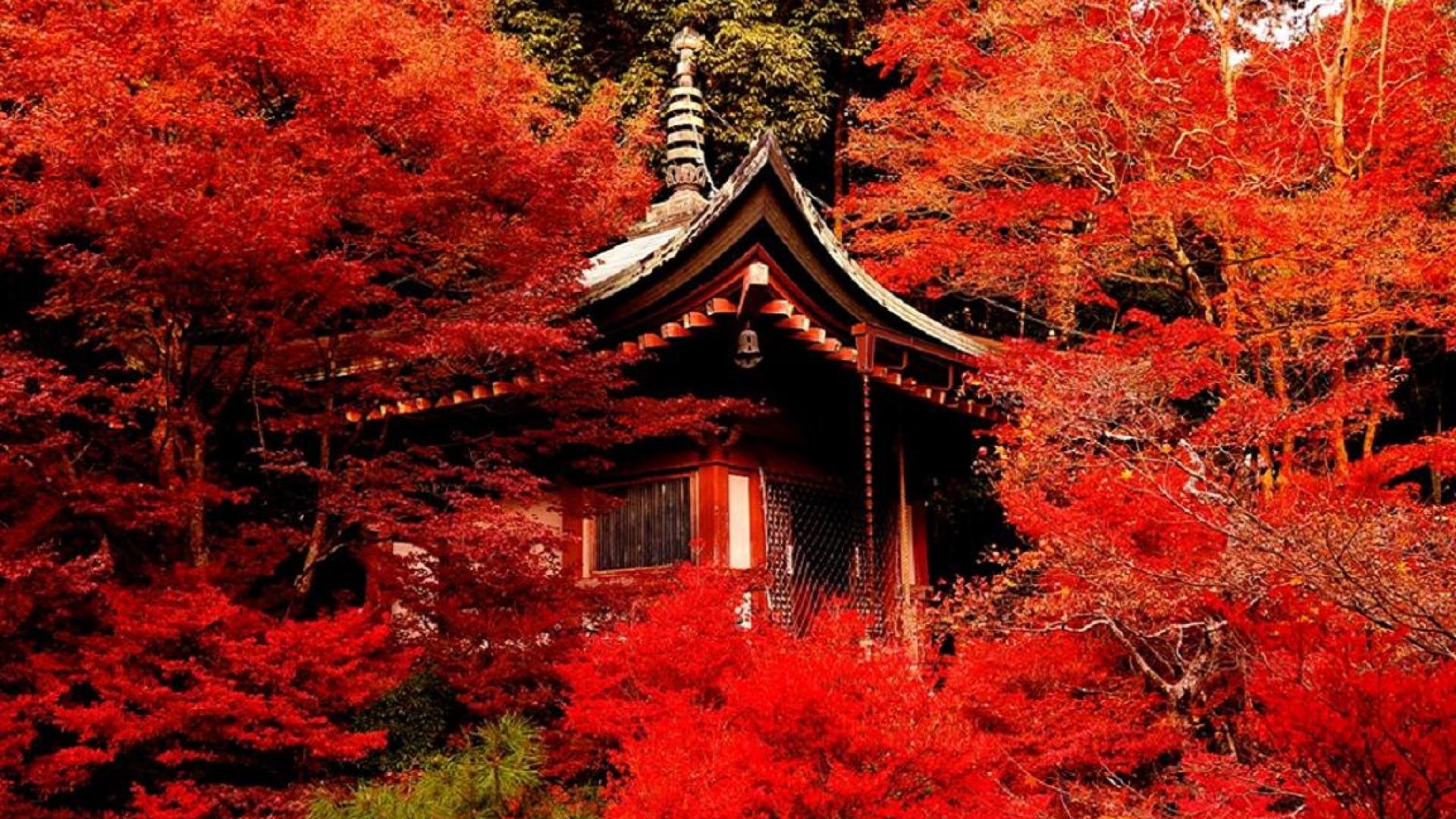 1920x1080 Download now full hd wallpaper kyoto autumn tea house in screen resolution  .