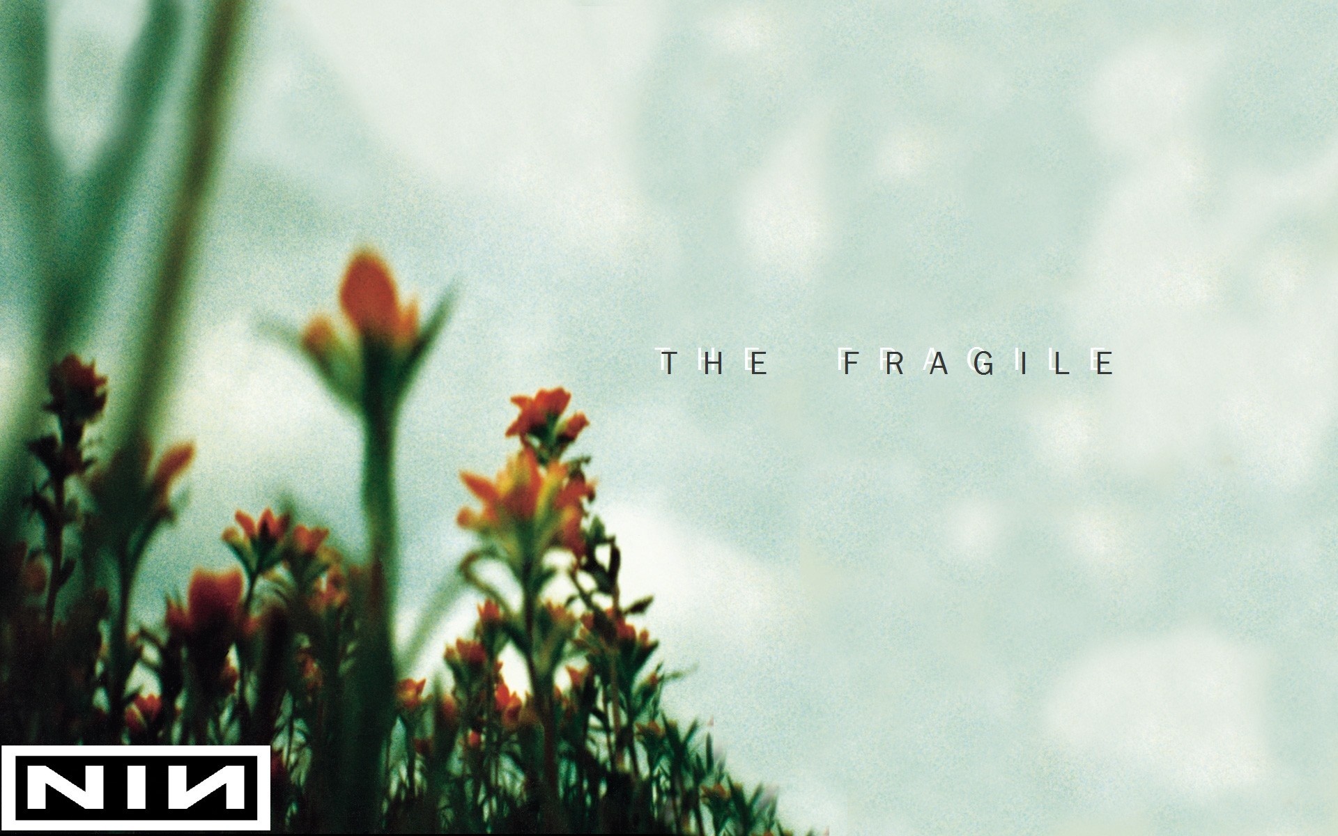 1920x1200 ... CaptainSelection Nine Inch Nails - The Fragile Wallpaper by  CaptainSelection