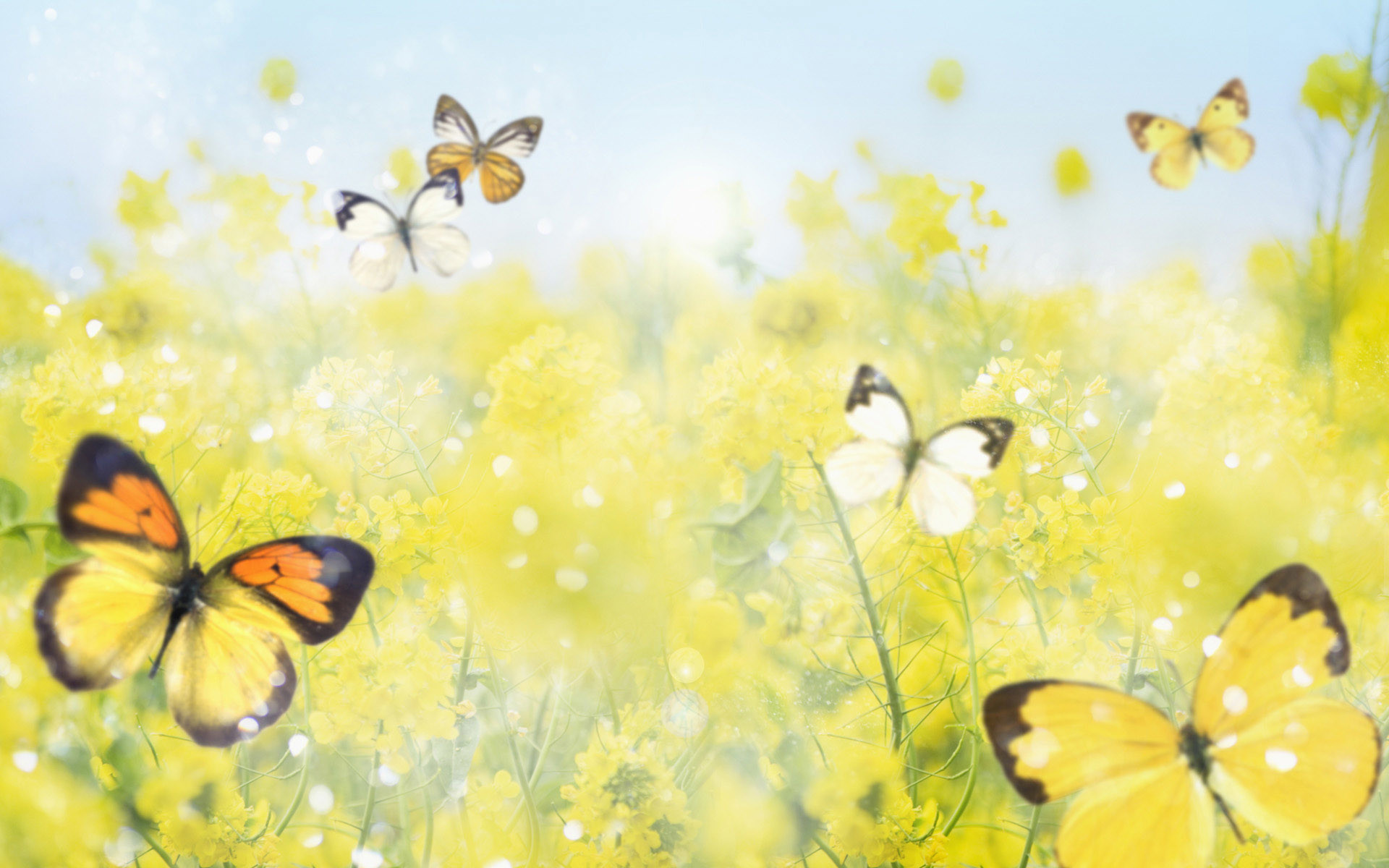 1920x1200 view image. Found on: pretty-spring-backgrounds-and-wallpapers/