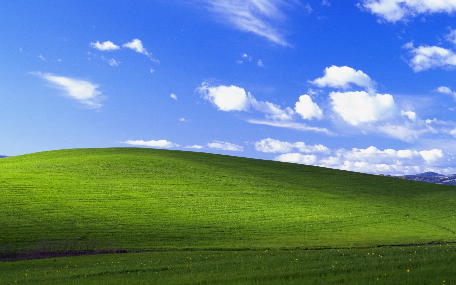 1920x1200 It was used as XP's default wallpaper, and owing to the simplicity,  tranquility and use of cool colors (green for the grass and ...