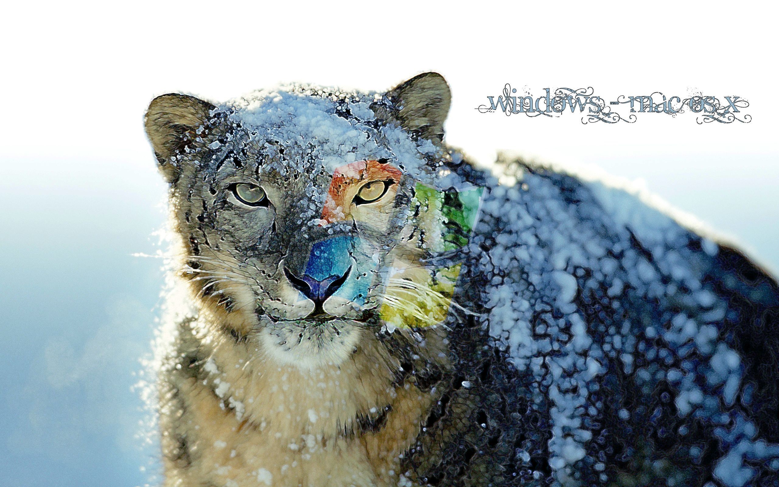 2560x1600 pin Snow Leopard clipart hd wallpaper #5
