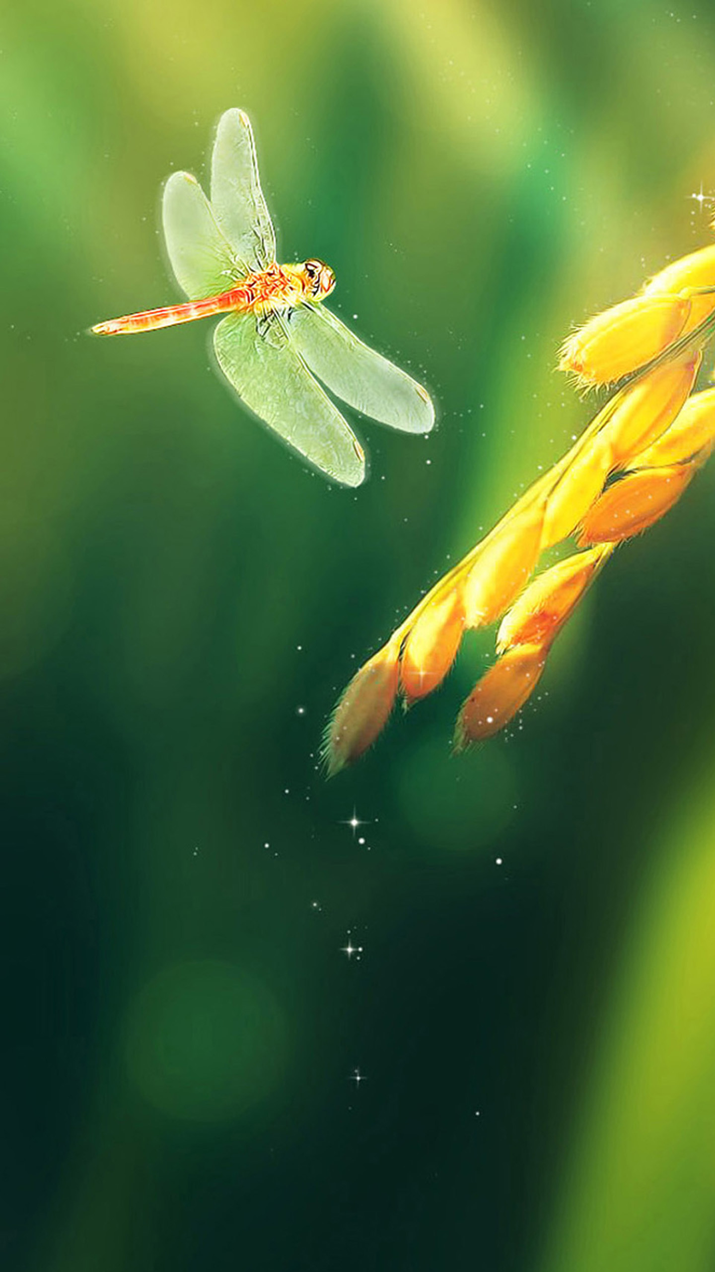 1440x2560 Dragonflies and rice Galaxy S8 Wallpapers