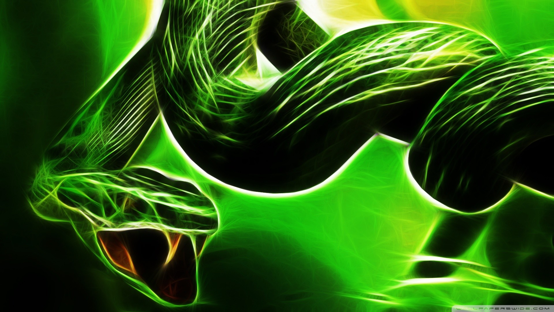1920x1080 299 Snake HD Wallpapers | Backgrounds - Wallpaper Abyss ...