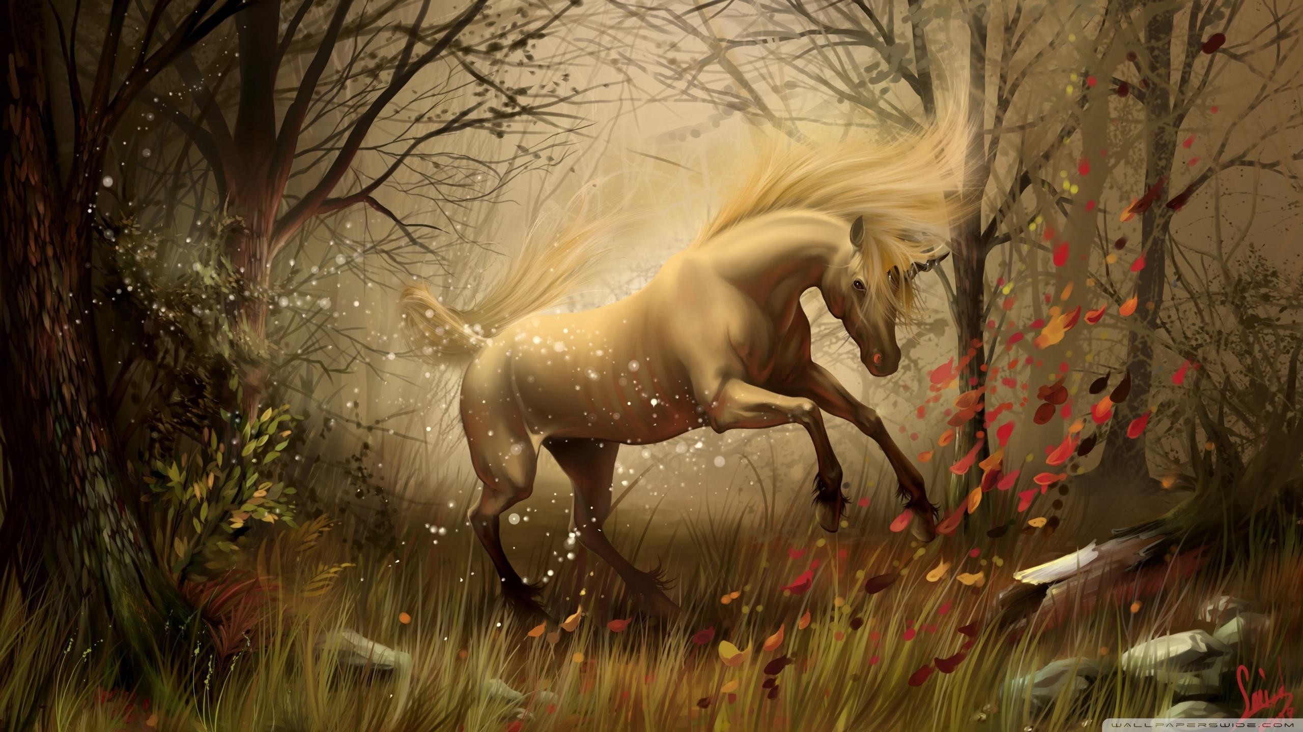 2560x1440 unicorns and fairies | HD Ã¢â¢Â¥.unicorn In Fairy Tales.Ã¢â¢
