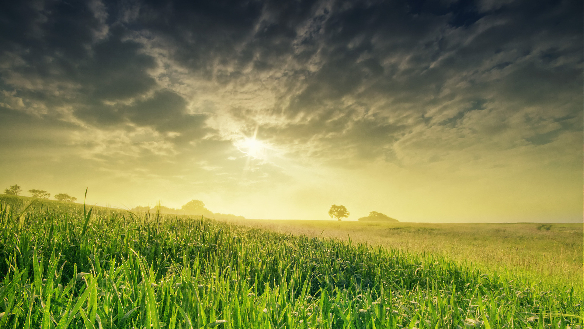 1920x1080 Amazing view of sun shining under the cloudy sky on the green field nature  view backgrounds