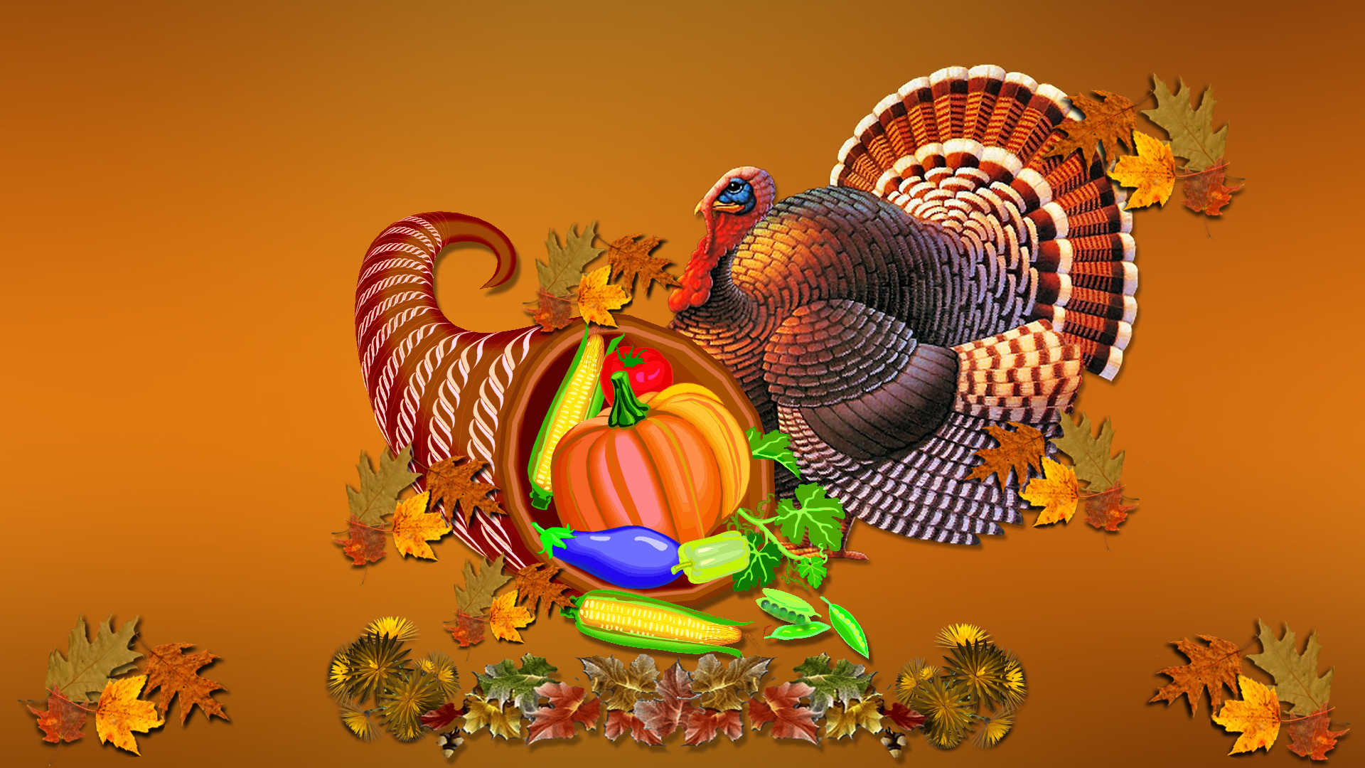 1920x1080 Turkey pictures thanksgiving day 2012 wallpapers 