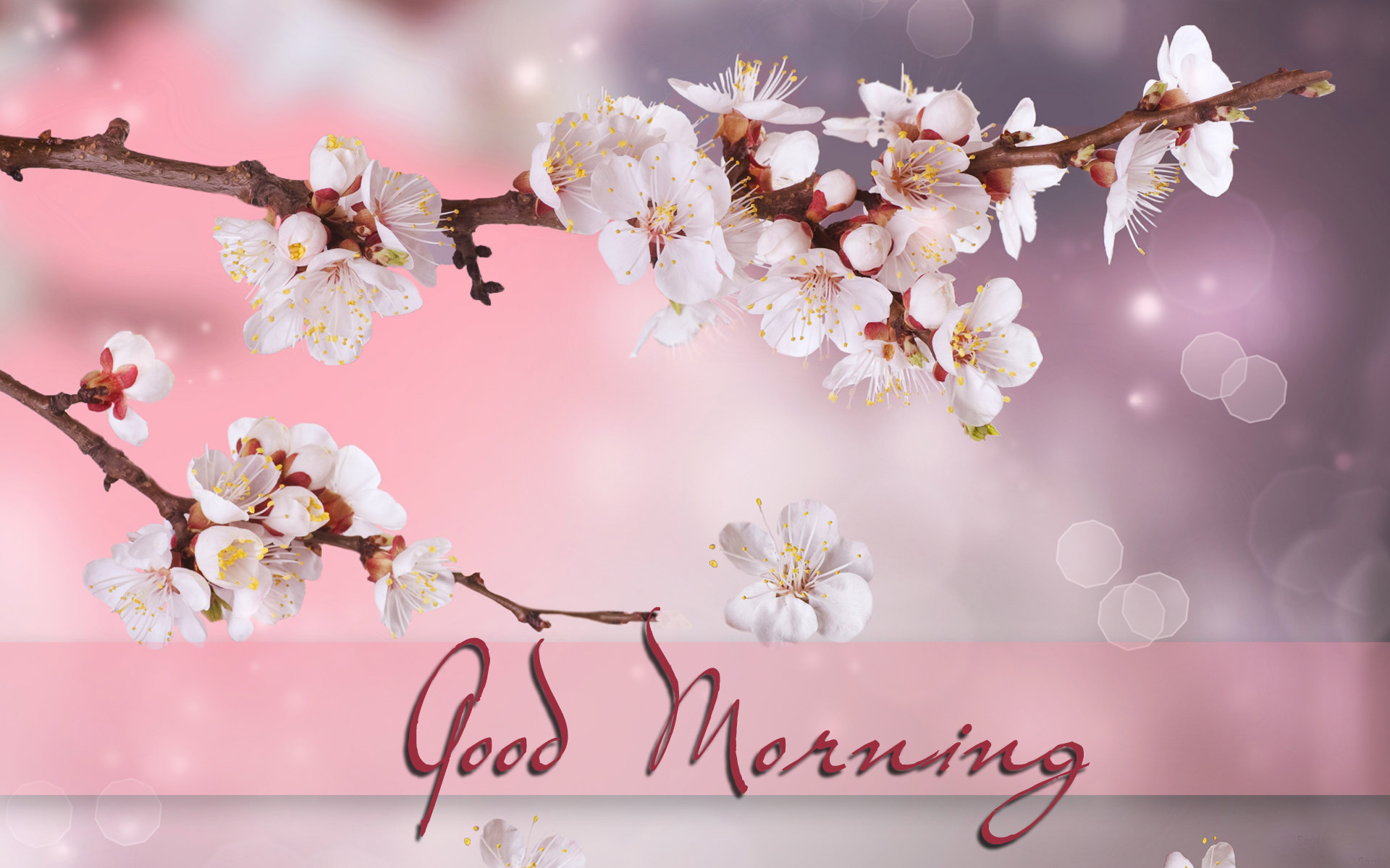 1920x1200 ...  Beautiful Good Morning Messages Wishes Quotes images Pictures.