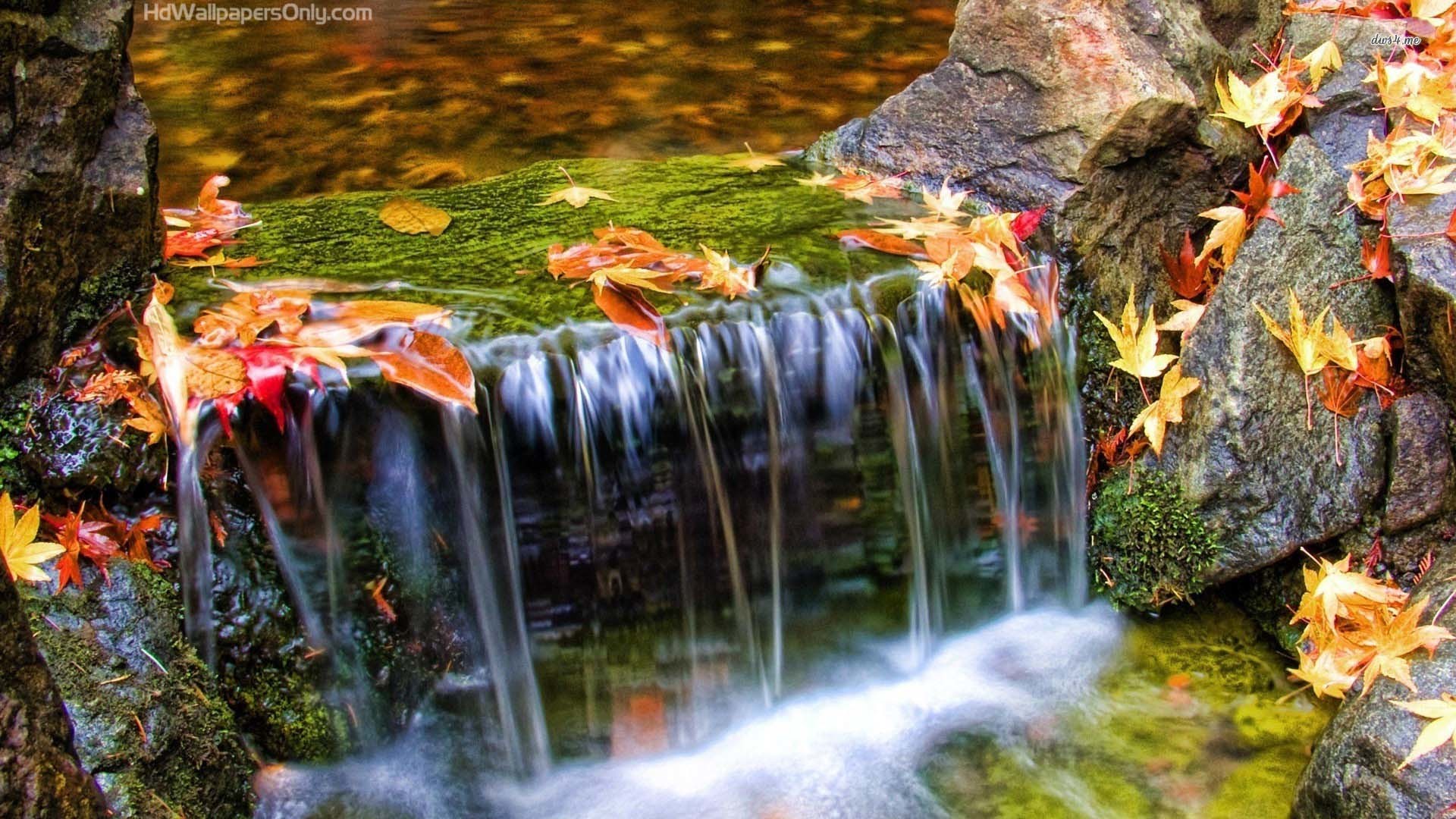 1920x1080 Flower And Waterfall Wallpaper #6925794 Waterfall Wallpaper and Background  | 1600x1200 | ID:241237 ...