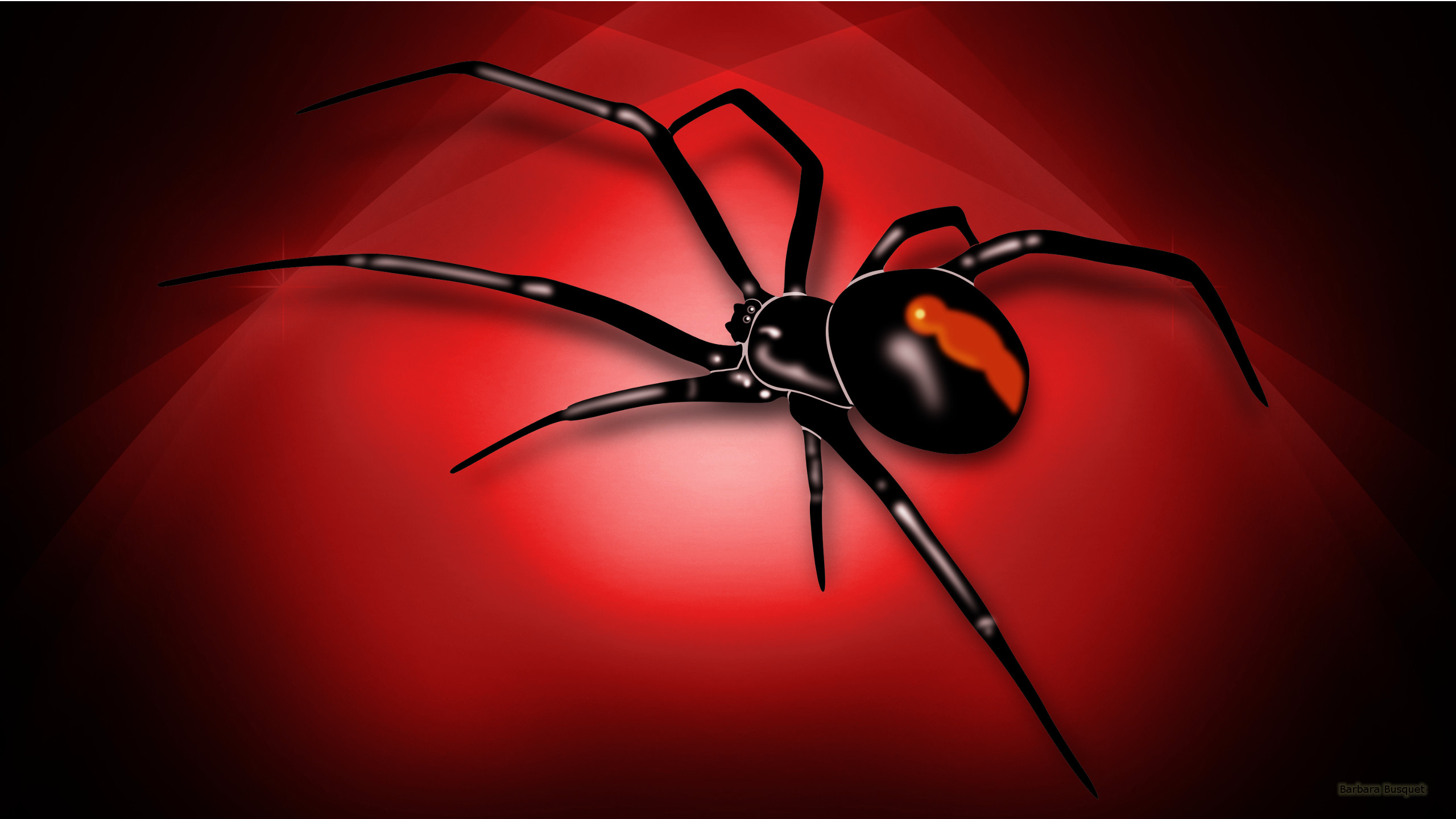 2560x1440 hd wallpaper with red white spider