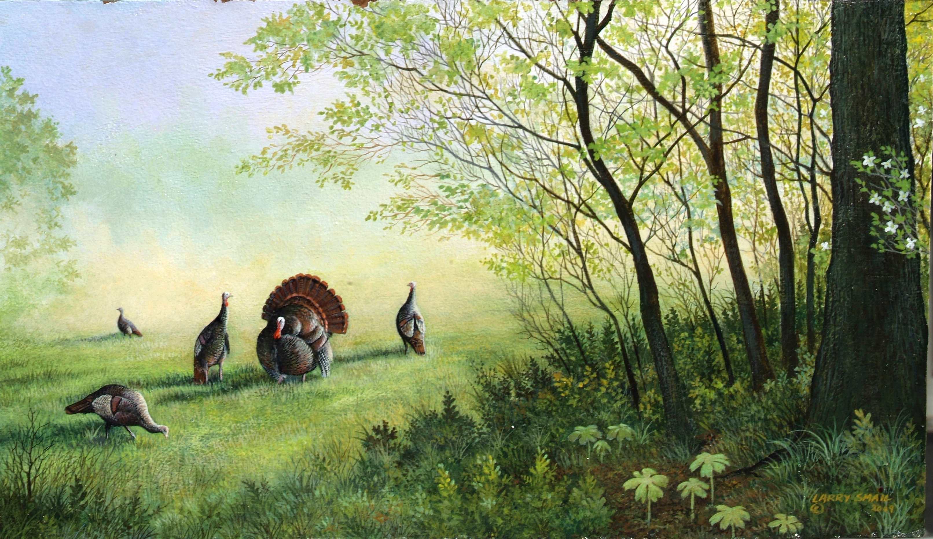 3224x1864 The painting Lifting Fog is Turkey Hunting Paintings
