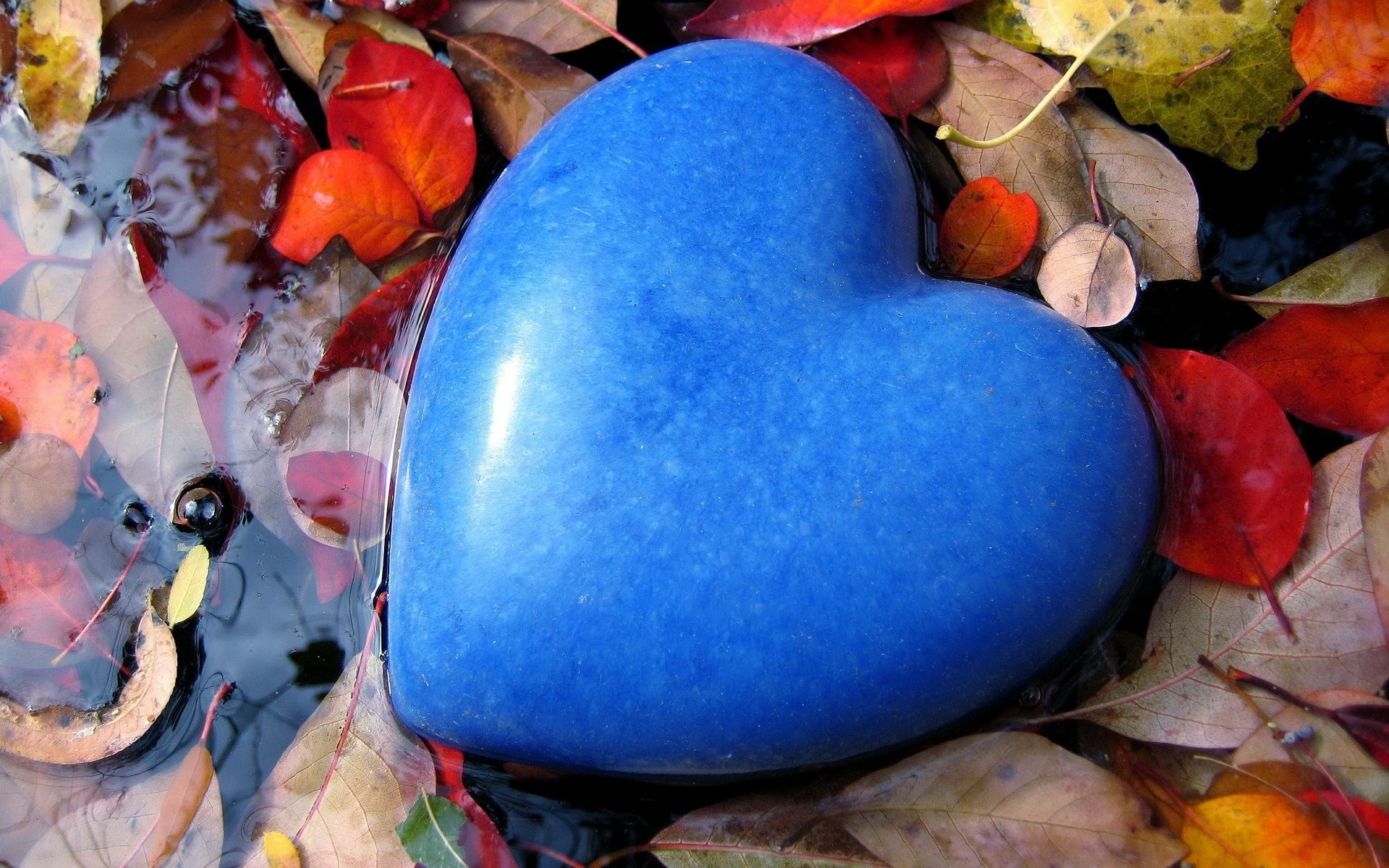 1920x1200 mood feelings love stone heart form blue blue flowers a pool water leaves