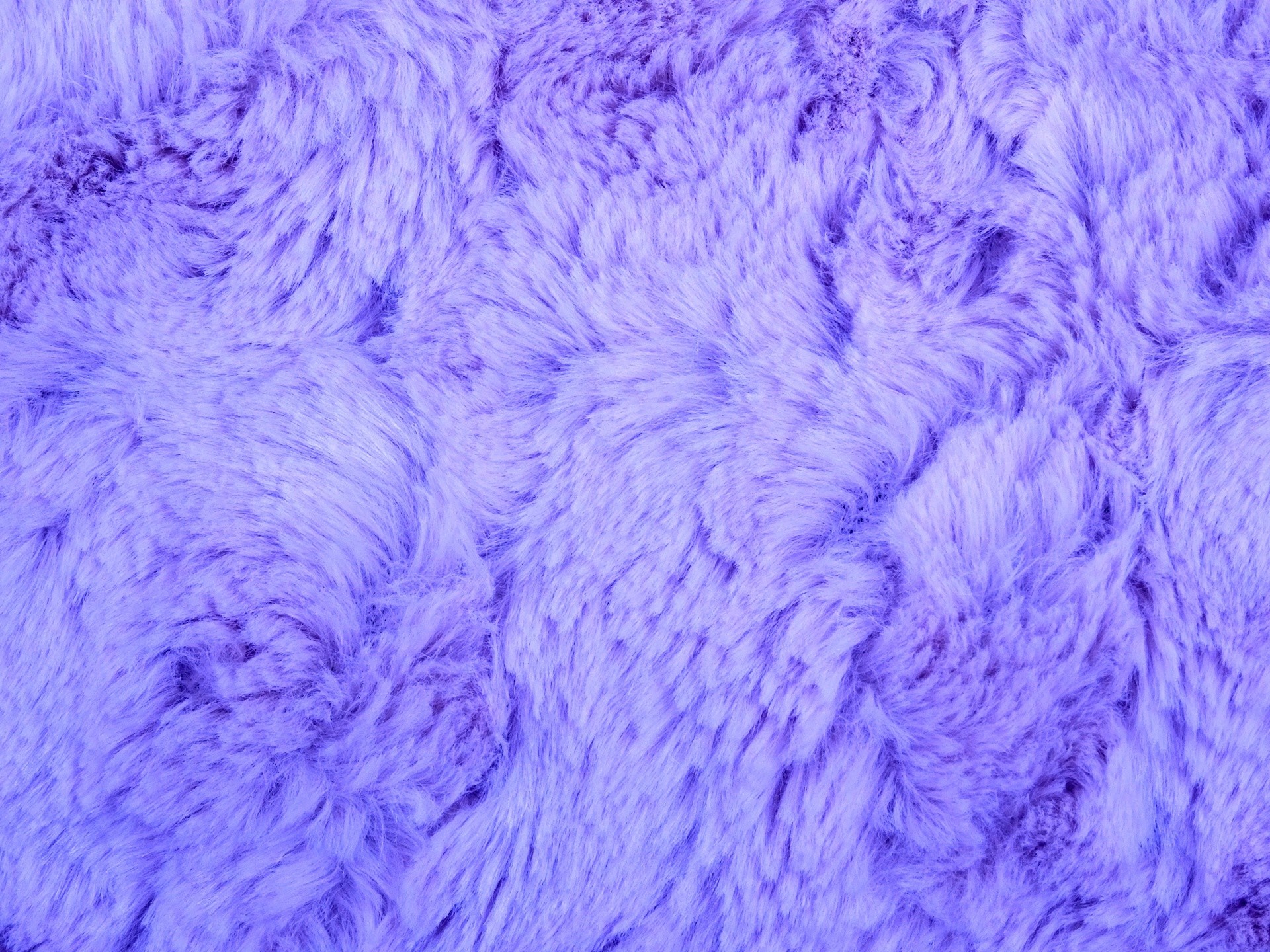 1920x1440 Lilac Fur Background