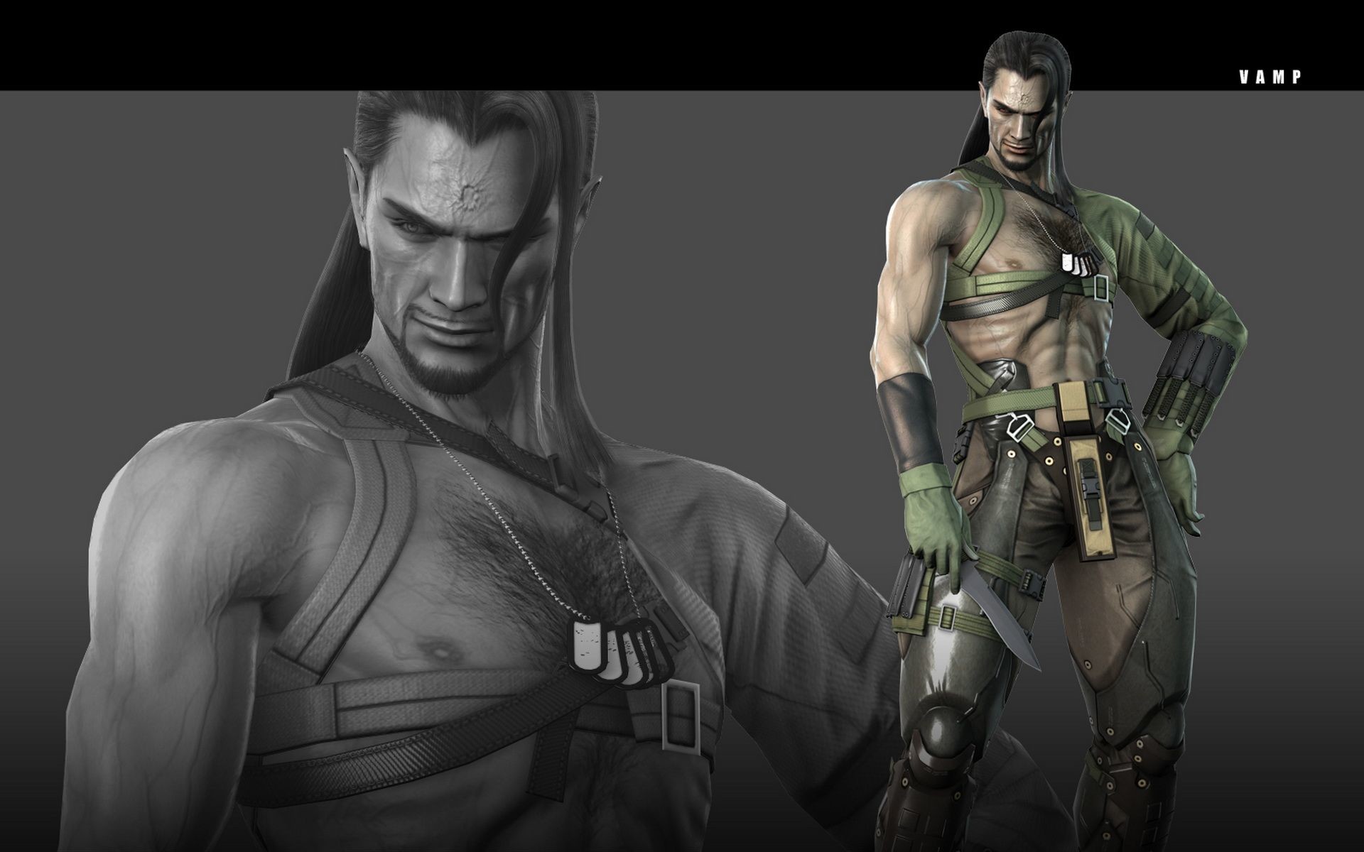 1920x1200 Note, if Anderson is too much for vamp, switch him out for Solidus Snake  instead.