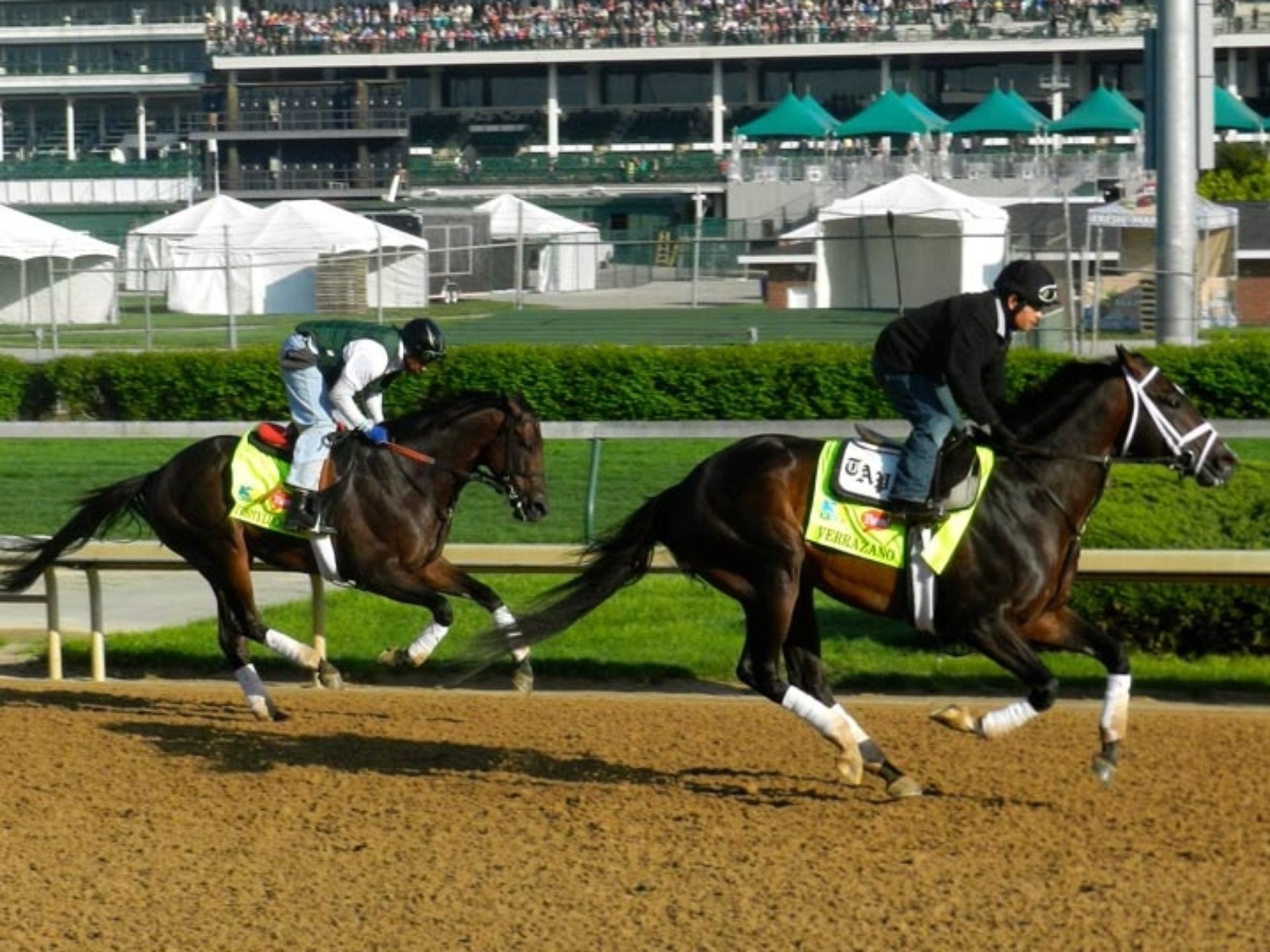 1920x1440 Unbeaten Verrazano (front) and Itsmyluckyday work out in preparation for  the Kentucky Derby.