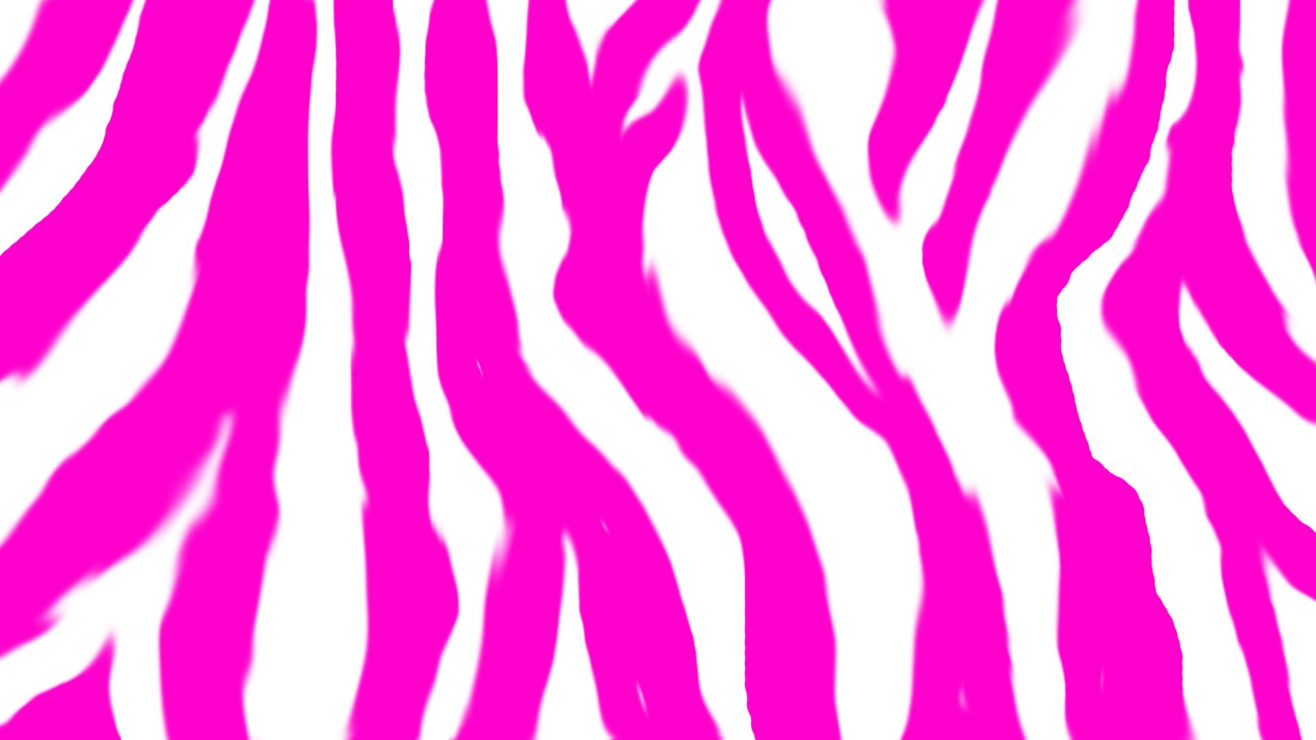 1920x1080  Pink Zebra Desktop Background