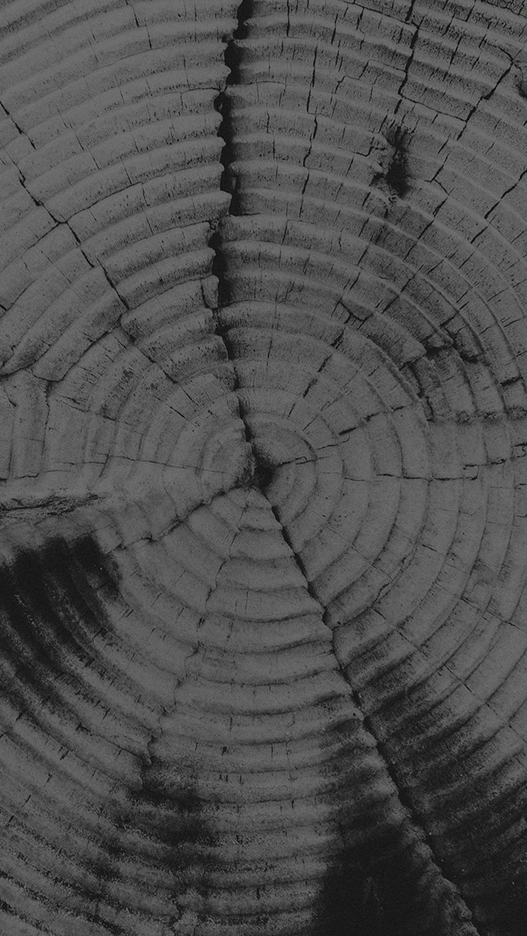 1080x1920 Old Tree Texture Pattern Dark iPhone 6 wallpaper